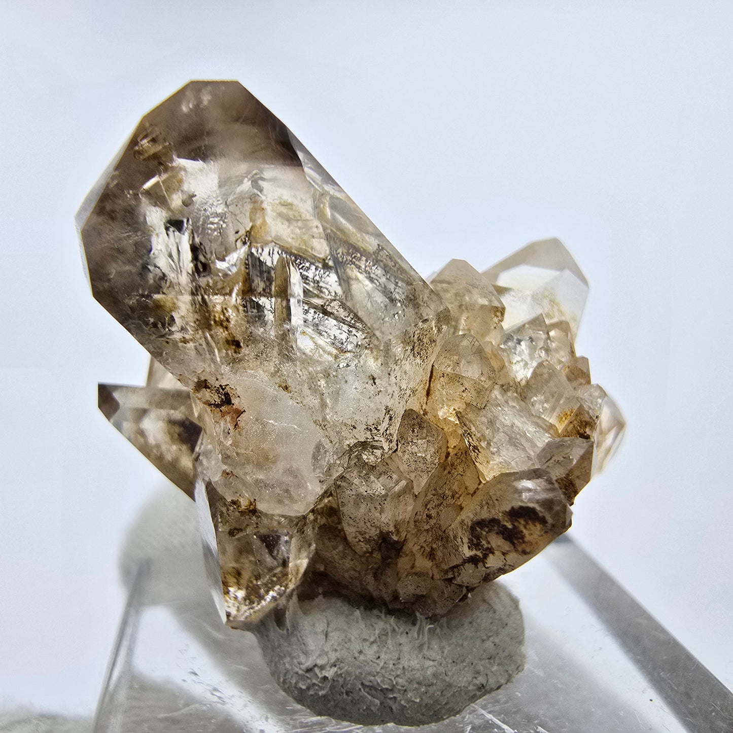 Phantom Rauchquarz DT Zepter Stufe Goboboseb, Namibia 23*21*25mm