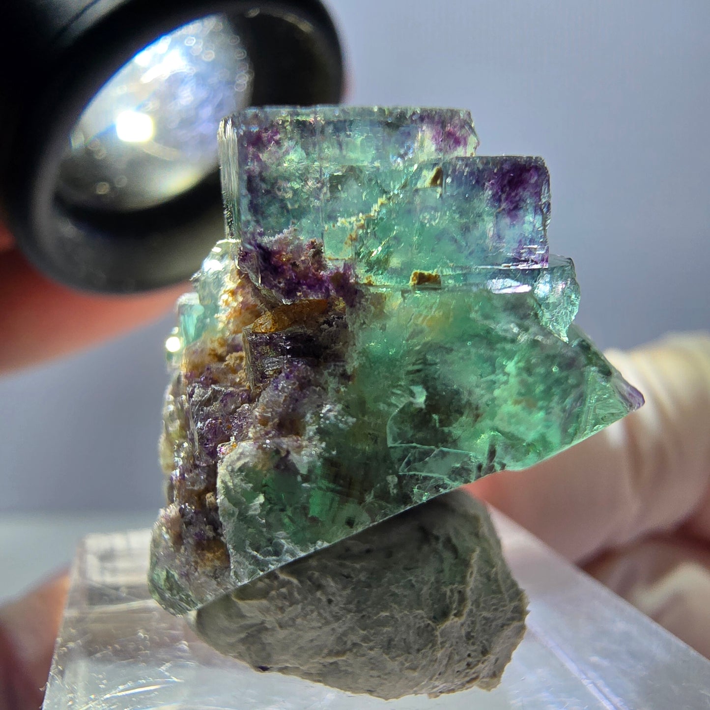 Spécimen de cube de fluorite fantôme, parqueté vert violet Okorusu, Namibie 31*25*18 mm