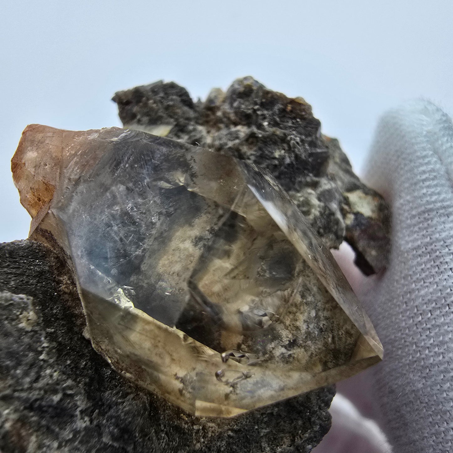 Phantom Rauchquarz Zepter auf Matrix Goboboseb, Namibia 39*33*20mm Sammlung