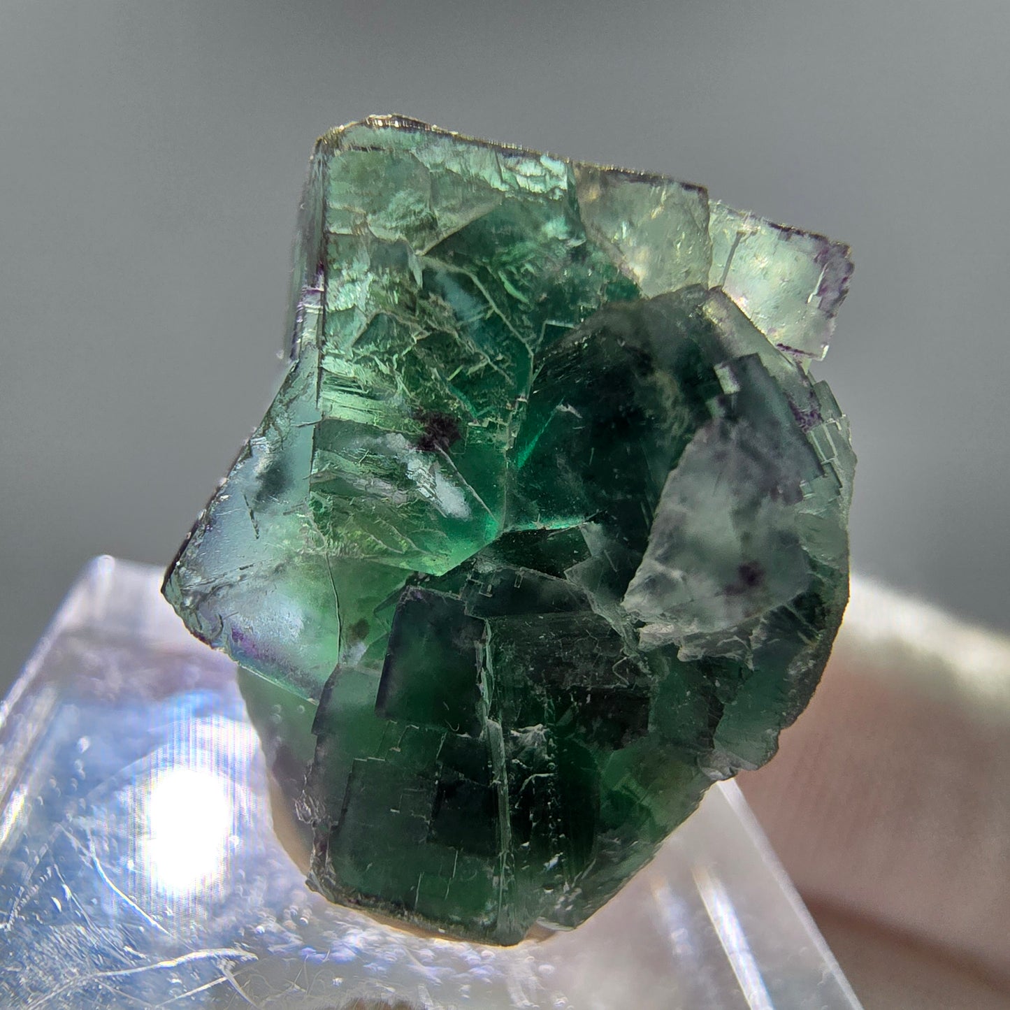 Seltene Phantom Fluorit Würfel Stufe grün Erongo, Namibia 25*22*15mm Sammlung