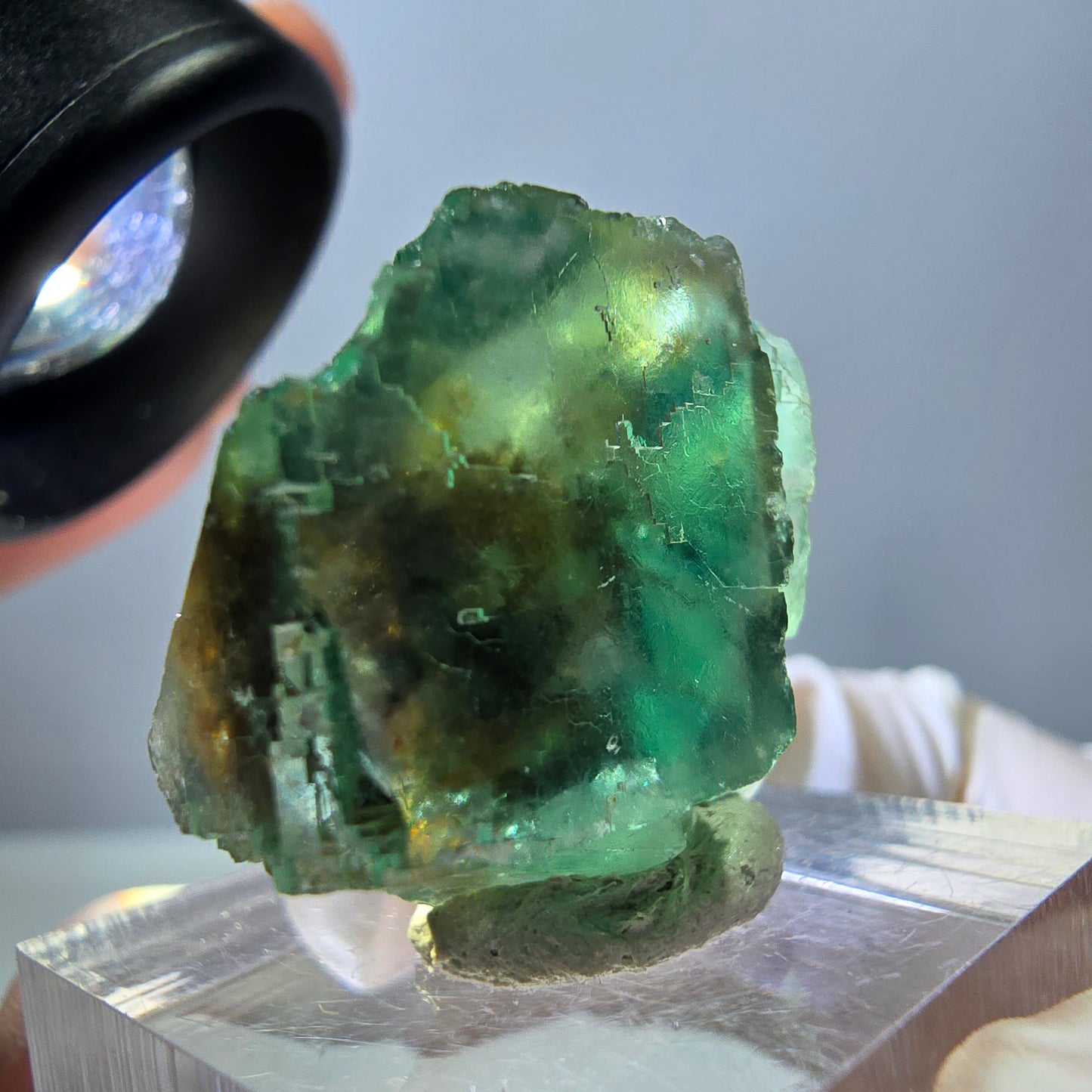 Spécimen de cube de fluorite fantôme, parquet vert Okorusu, Namibie 38 x 25 x 13 mm