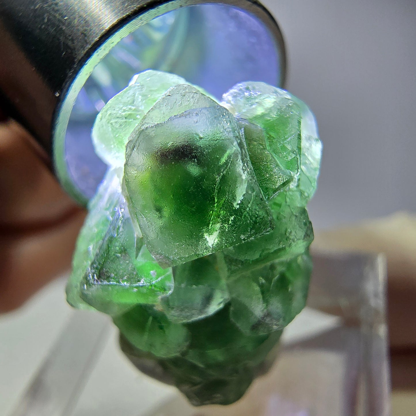 Cube de fluorite fantôme, spécimen de tourmaline Schorl, Erongo, Namibie, 24 x 17 x 16 mm