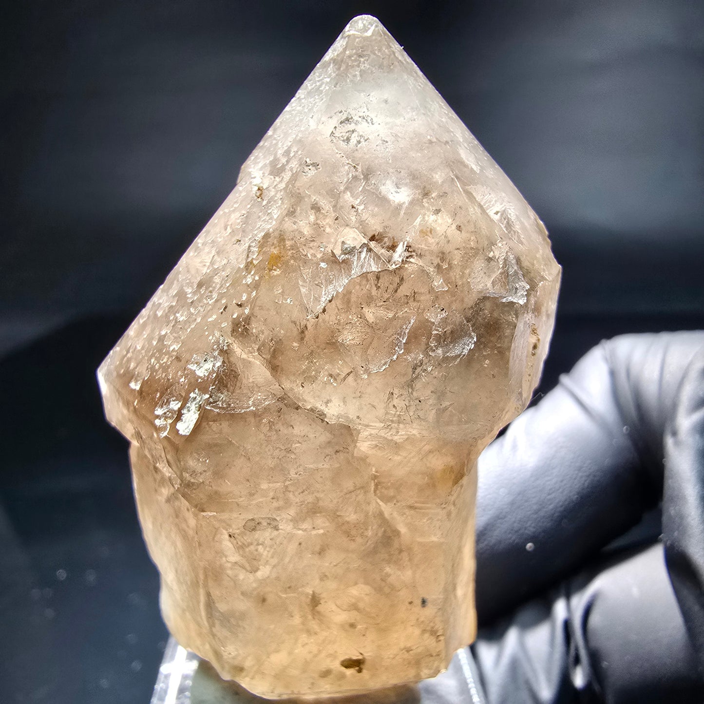 Schöne Phantom Rauchquarz Zepter Spitze Erongo, Namibia 53*34*25mm Sammlung