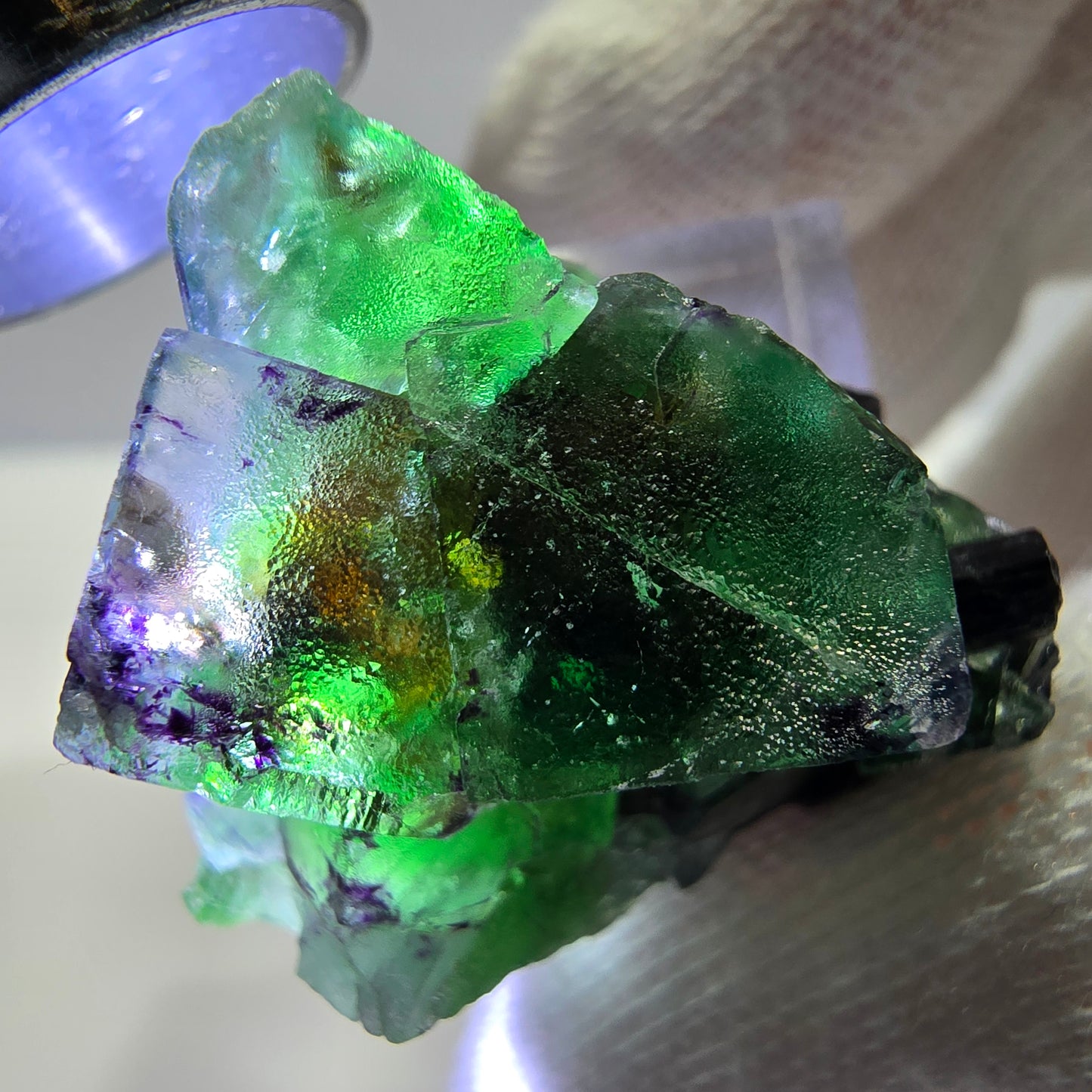 Cube de fluorite fantôme zonal, spécimen de tourmaline Schorl, Erongo, Namibie, 35 x 25 x 22 mm