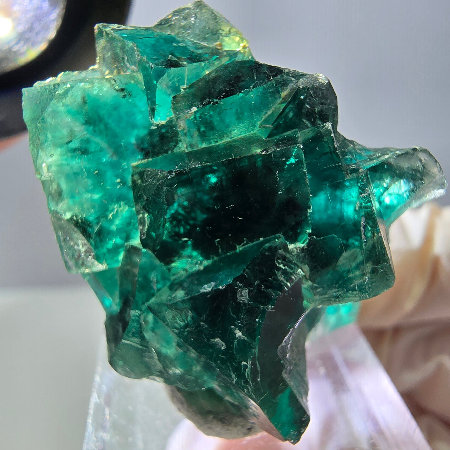 Spécimen de cube de fluorite fantôme, parquet vert Okorusu, Namibie 37 x 29 x 20 mm