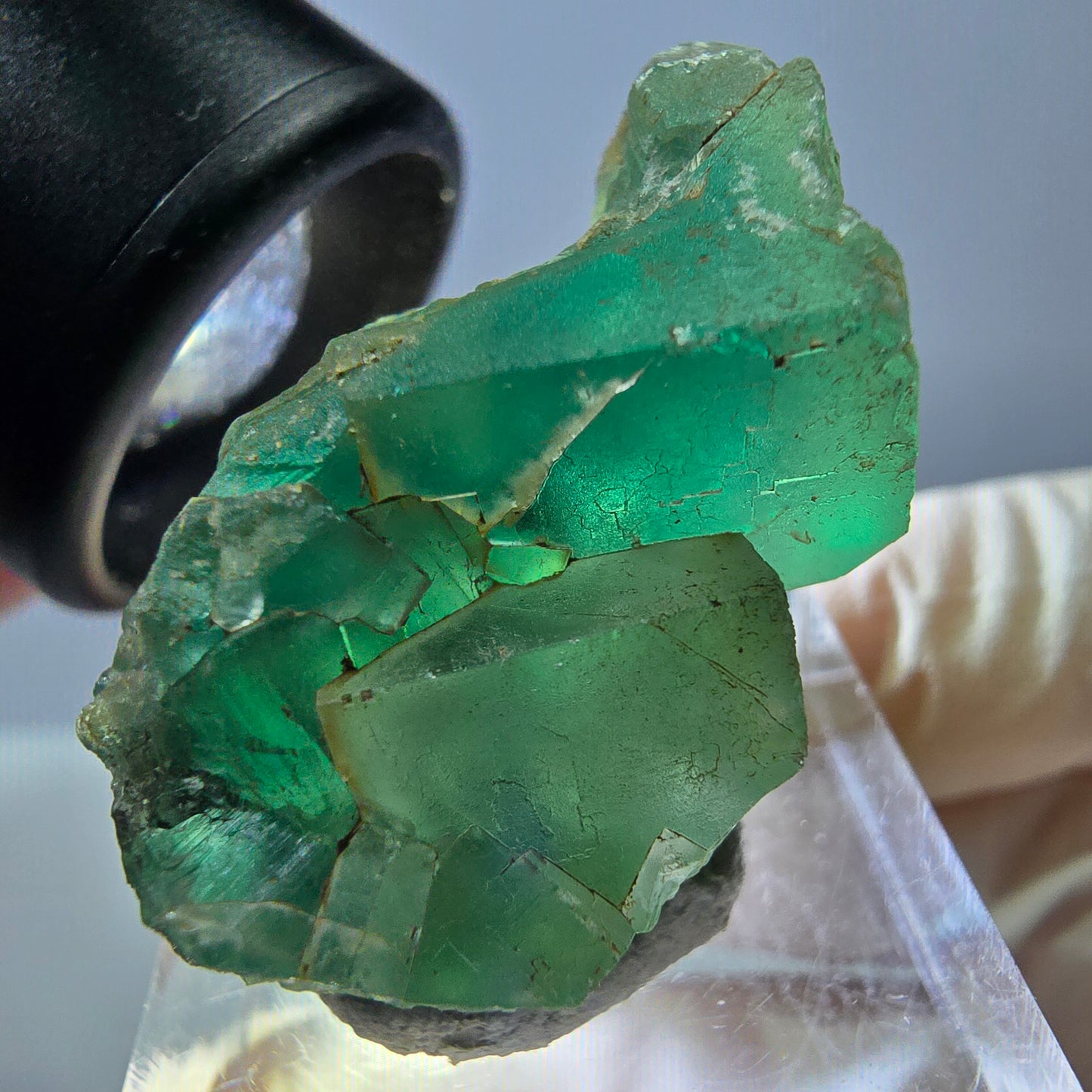 Spécimen de cube de fluorite fantôme, vert violet, Okorusu, Namibie, 35 x 19 x 19 mm