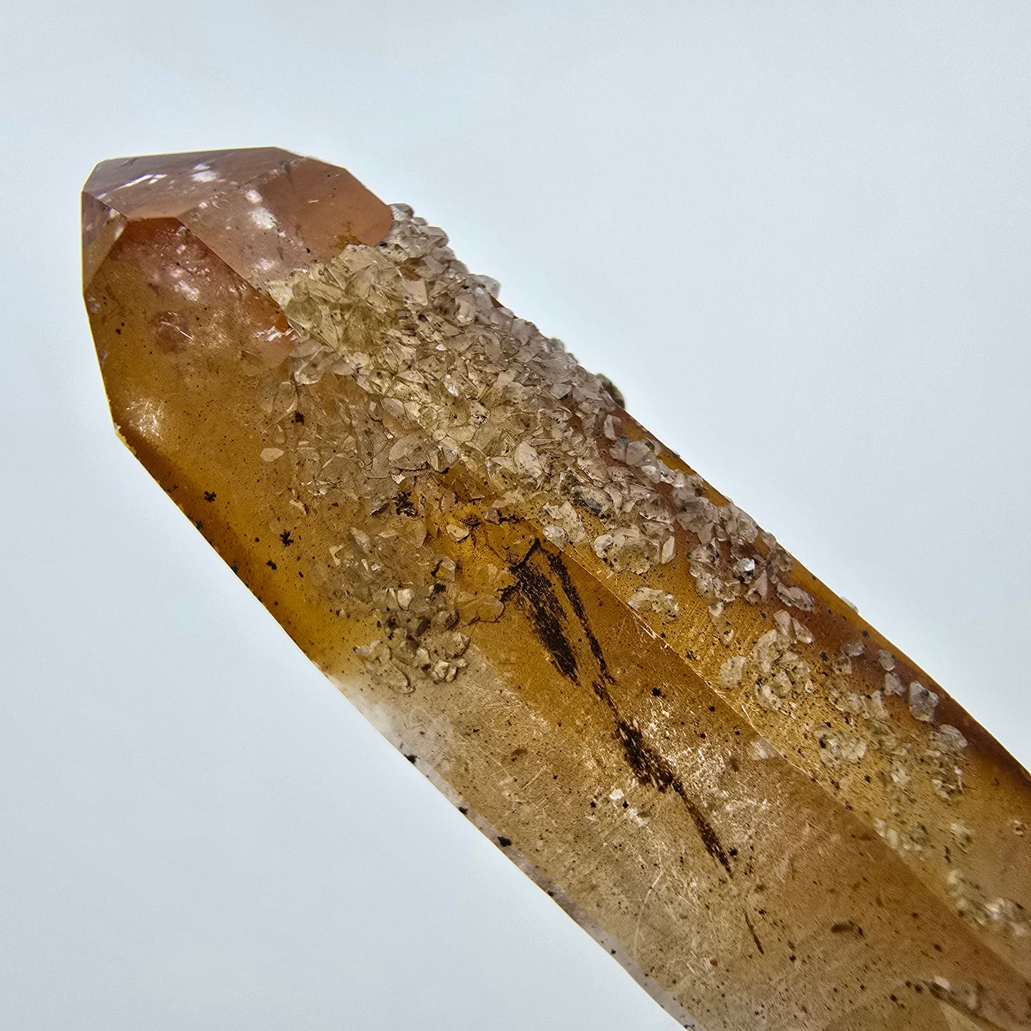 Quartz fumé Harlequin avec formation de fer DT Goboboseb Namibie 62*18*13mm Collection