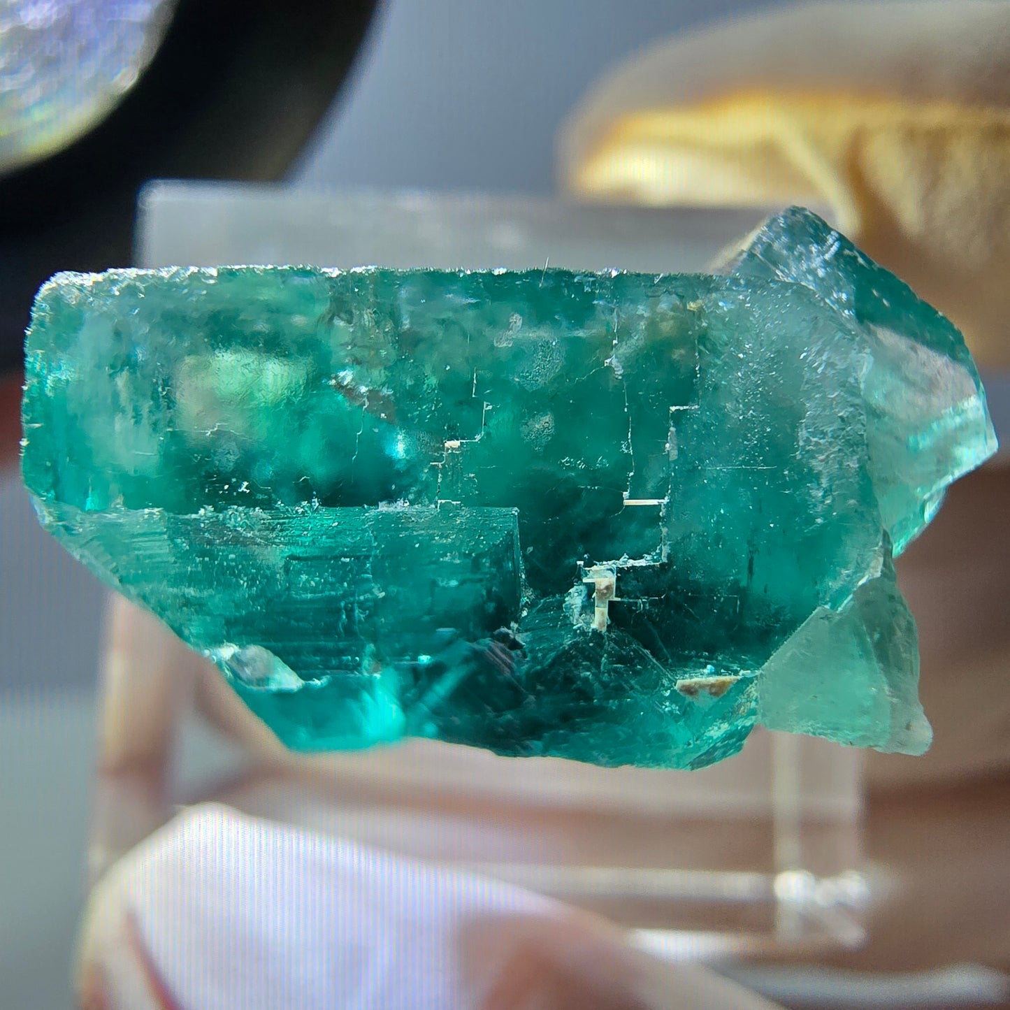 Phantom Fluorit Würfel Stufe, grün parkettiert Okorusu, Namibia 21*21*13mm