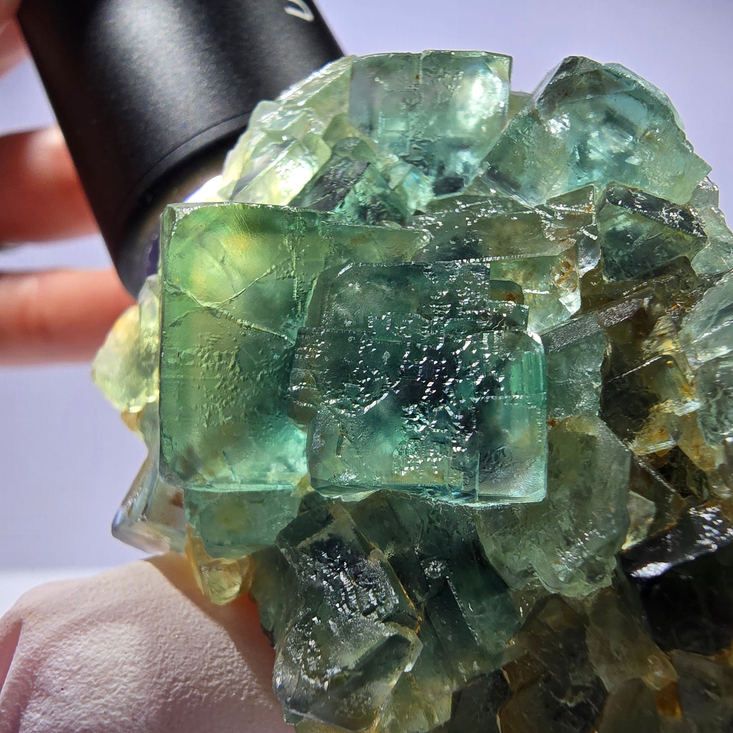 Spécimen de cube de fluorite fantôme parqueté vert violet Okorusu, Namibie 60*48*24mm
