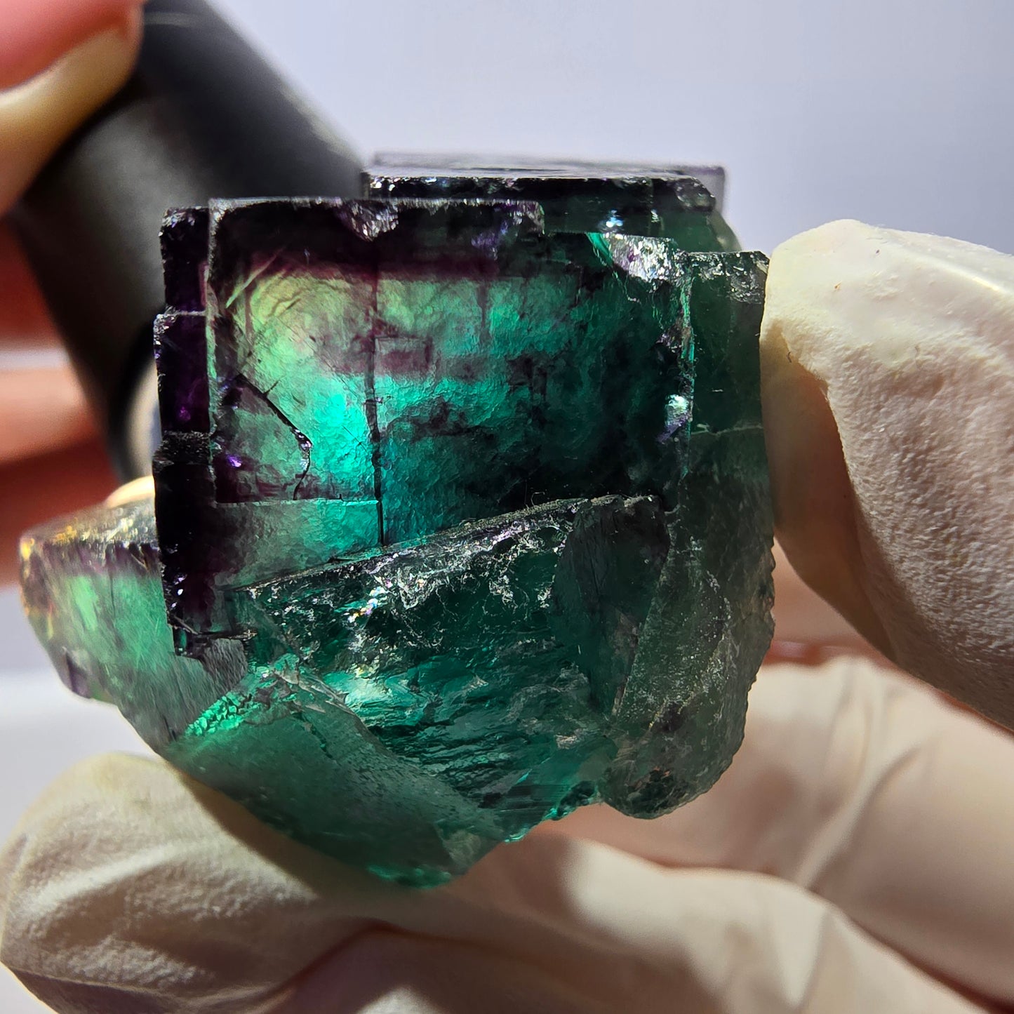 Spécimen de cube de fluorite fantôme, parqueté vert violet Okorusu, Namibie 41*41*25 mm