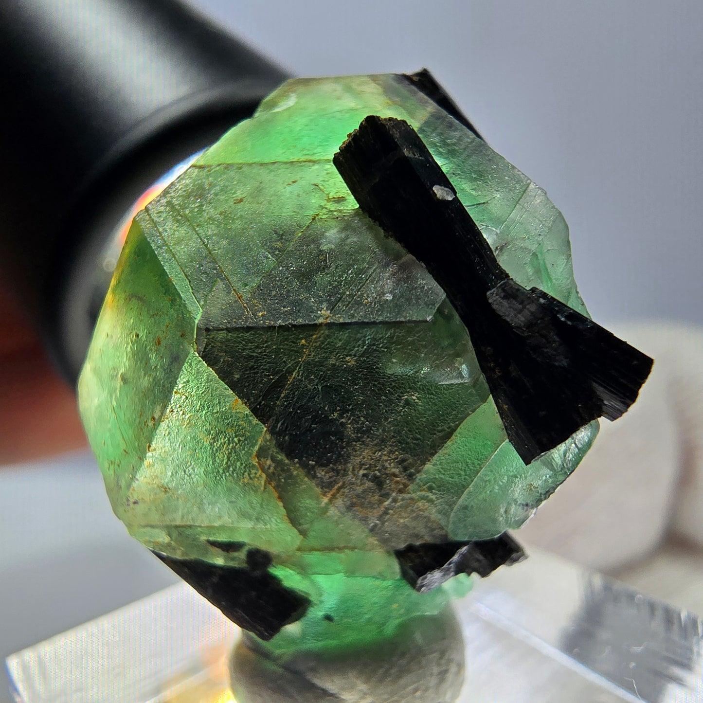 Spécimen de tourmaline Schorl hexagonale en fluorite fantôme, Erongo, Namibie, 23 x 22 x 22 mm