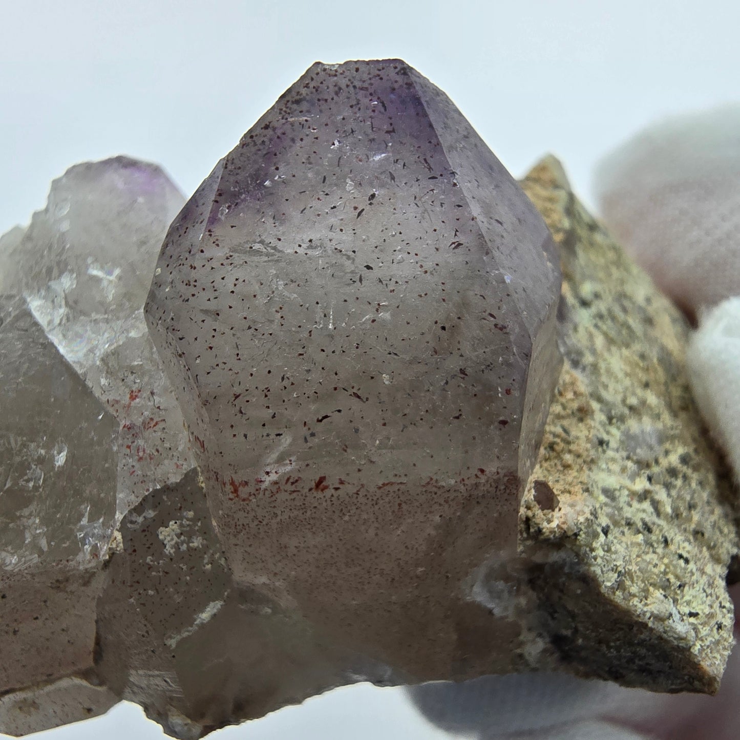 Phantom Amethyst Zepter auf Matrix Goboboseb, Namibia 62*34*30mm Sammlung