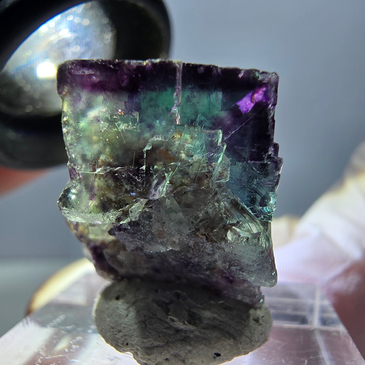 Spécimen de cube de fluorite fantôme, parqueté vert violet Okorusu, Namibie 25*19*15 mm