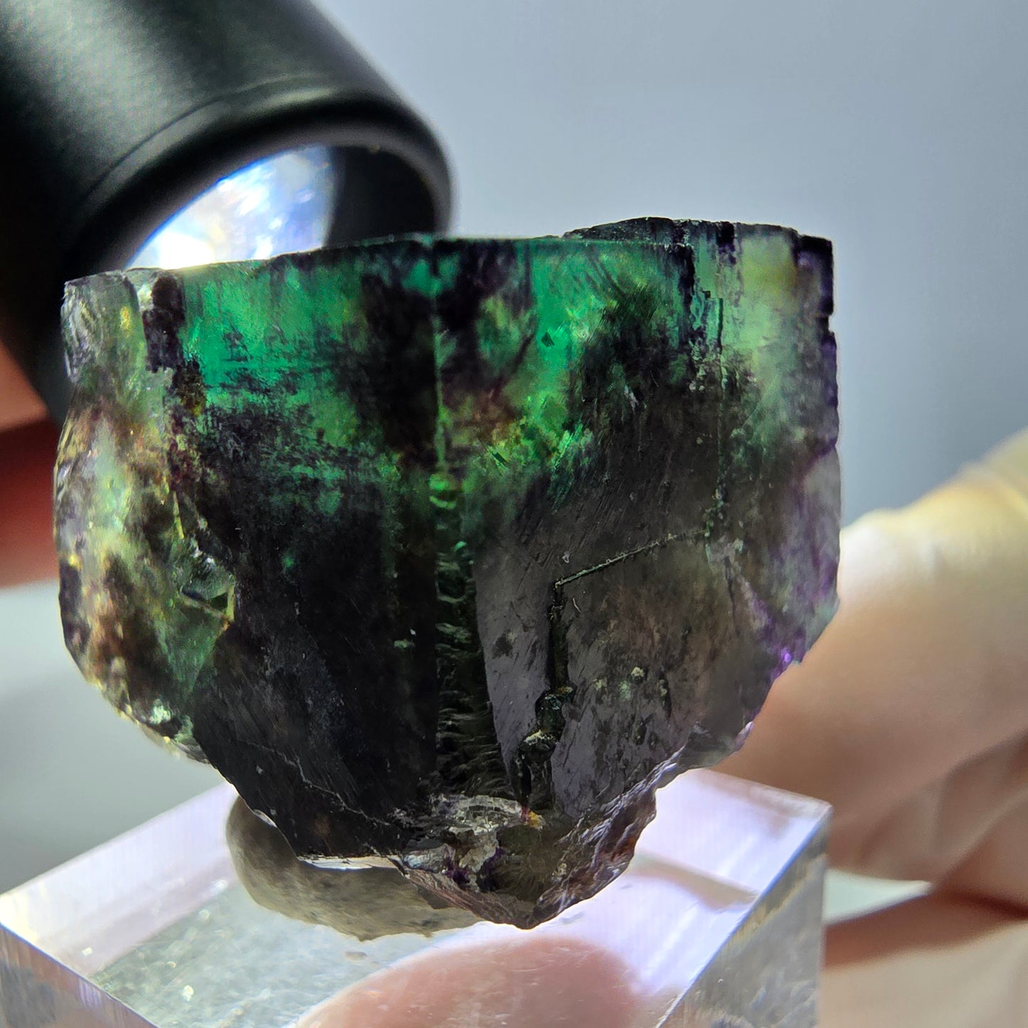 Phantom Fluorit Würfel Stufe, parkettiert grün lila Okorusu, Namibia 28*26*25mm
