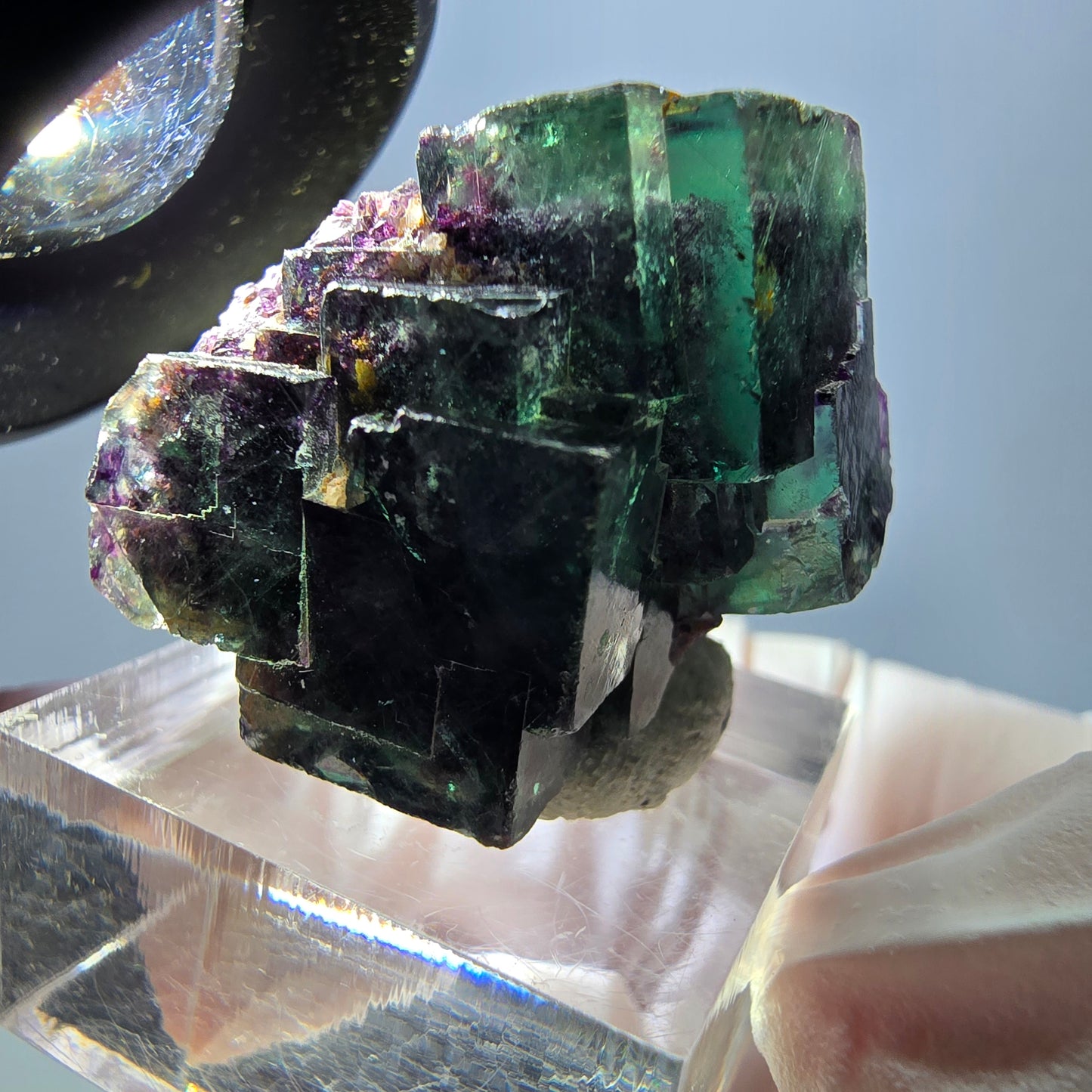 Spécimen de cube de fluorite fantôme, parqueté vert violet Okorusu, Namibie 28*27*22 mm