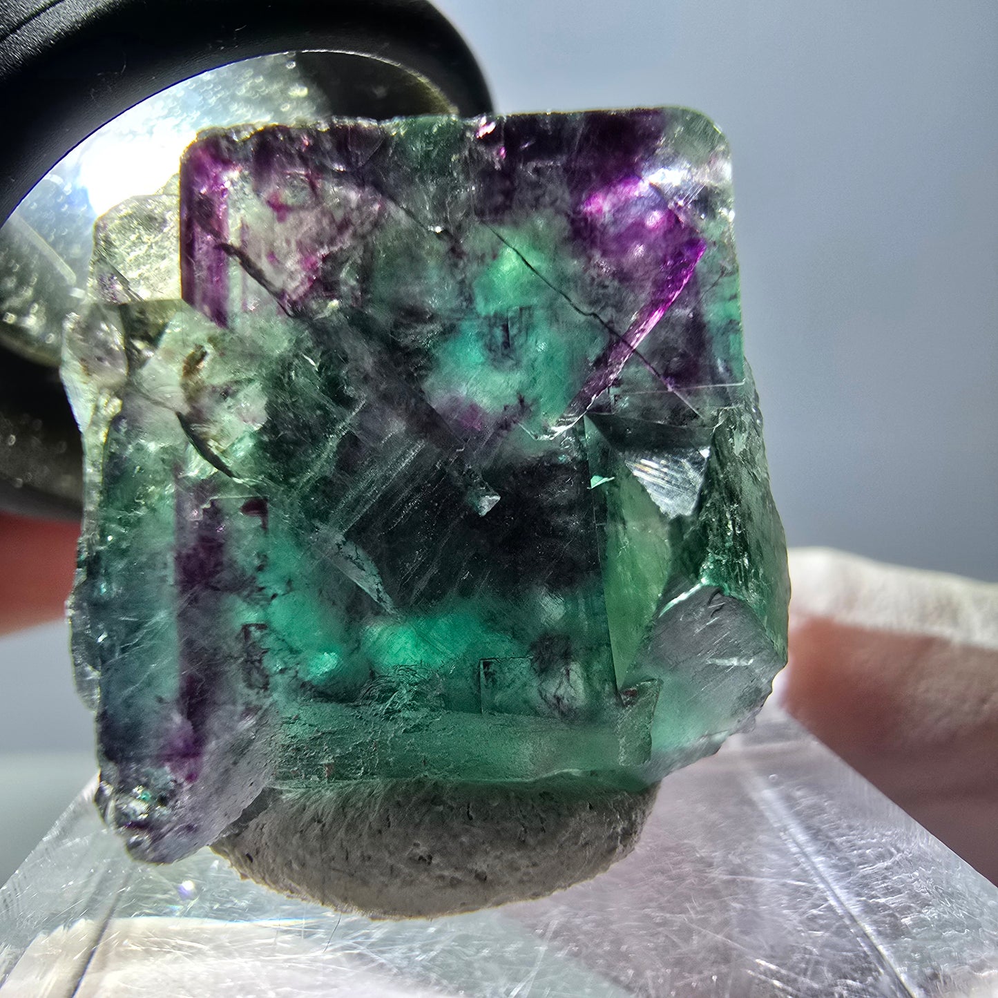 Spécimen de cube de fluorite fantôme, parqueté vert violet Okorusu, Namibie 22*22*18 mm