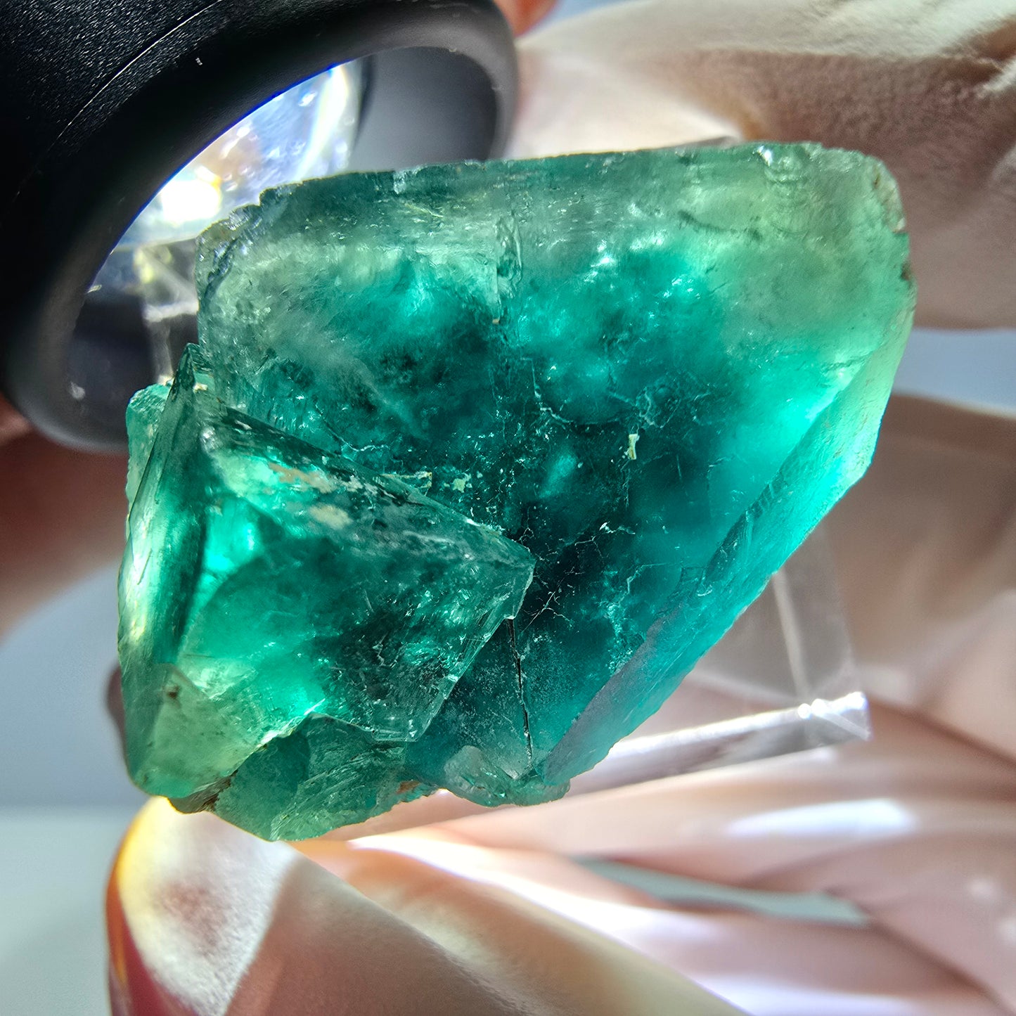 Spécimen de cube de fluorite fantôme, parquet vert Okorusu, Namibie 30*22*20 mm