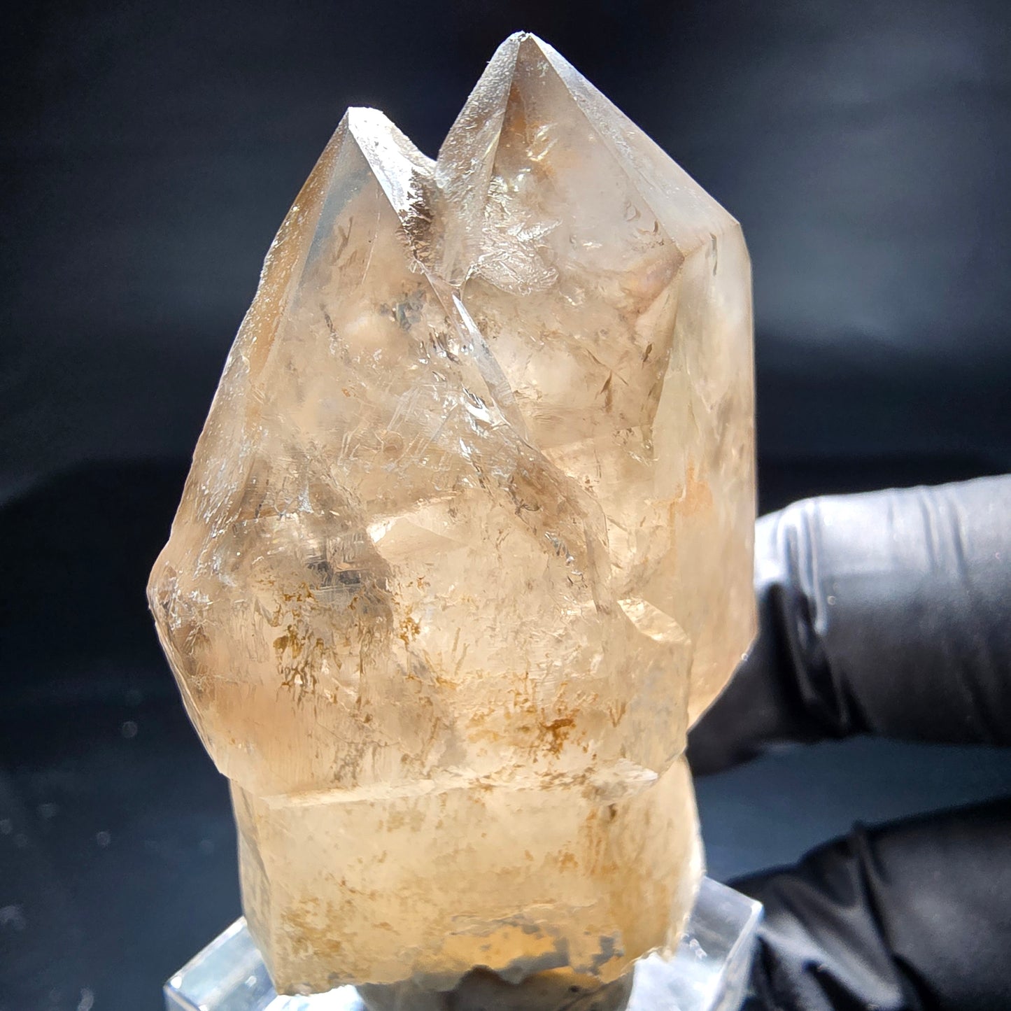 Schöne Phantom Rauchquarz Zepter Spitzen Erongo, Namibia 56*33*28mm Sammlung
