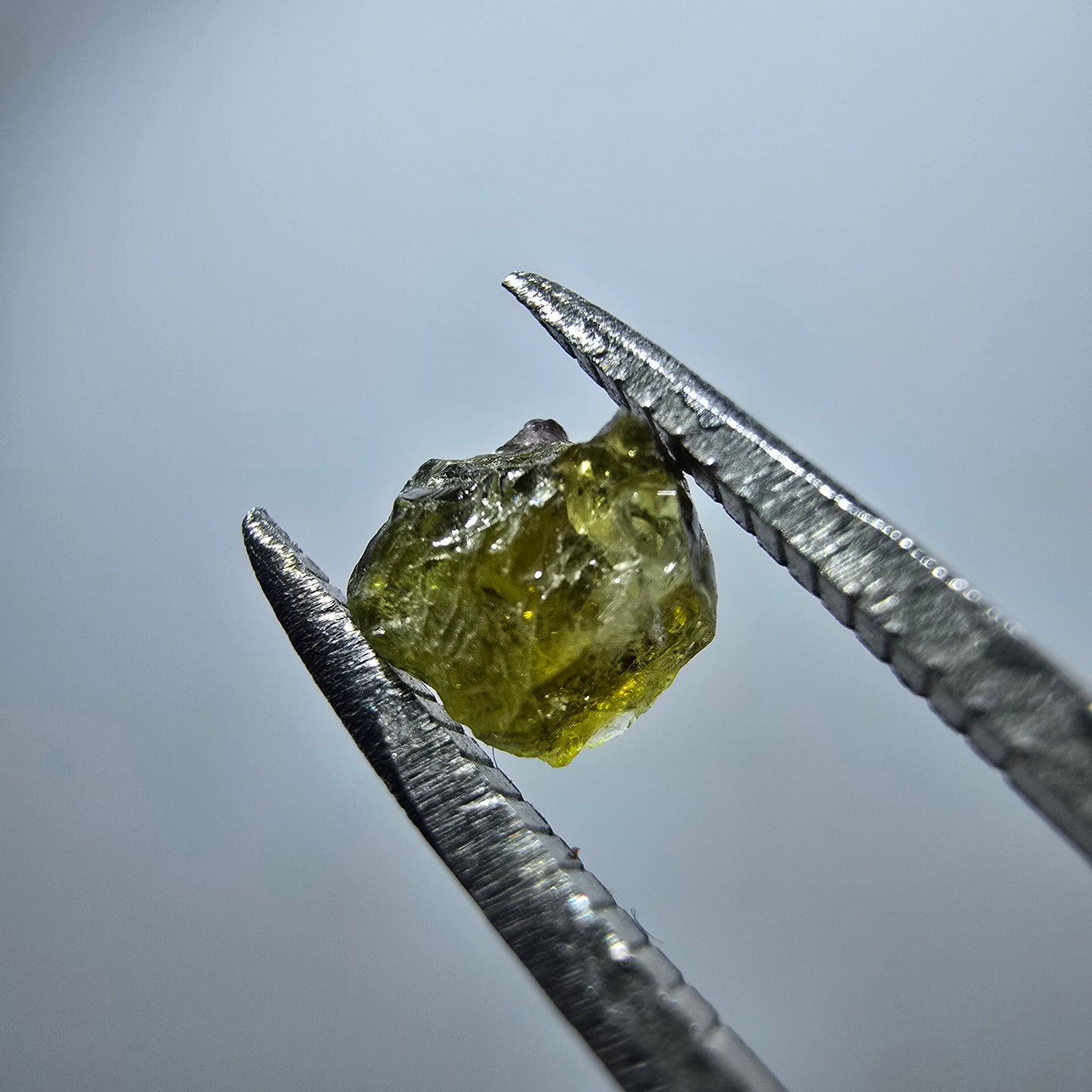 Cristal de tourmaline verdélite rare, vert Minas Gerais, Brésil #7991