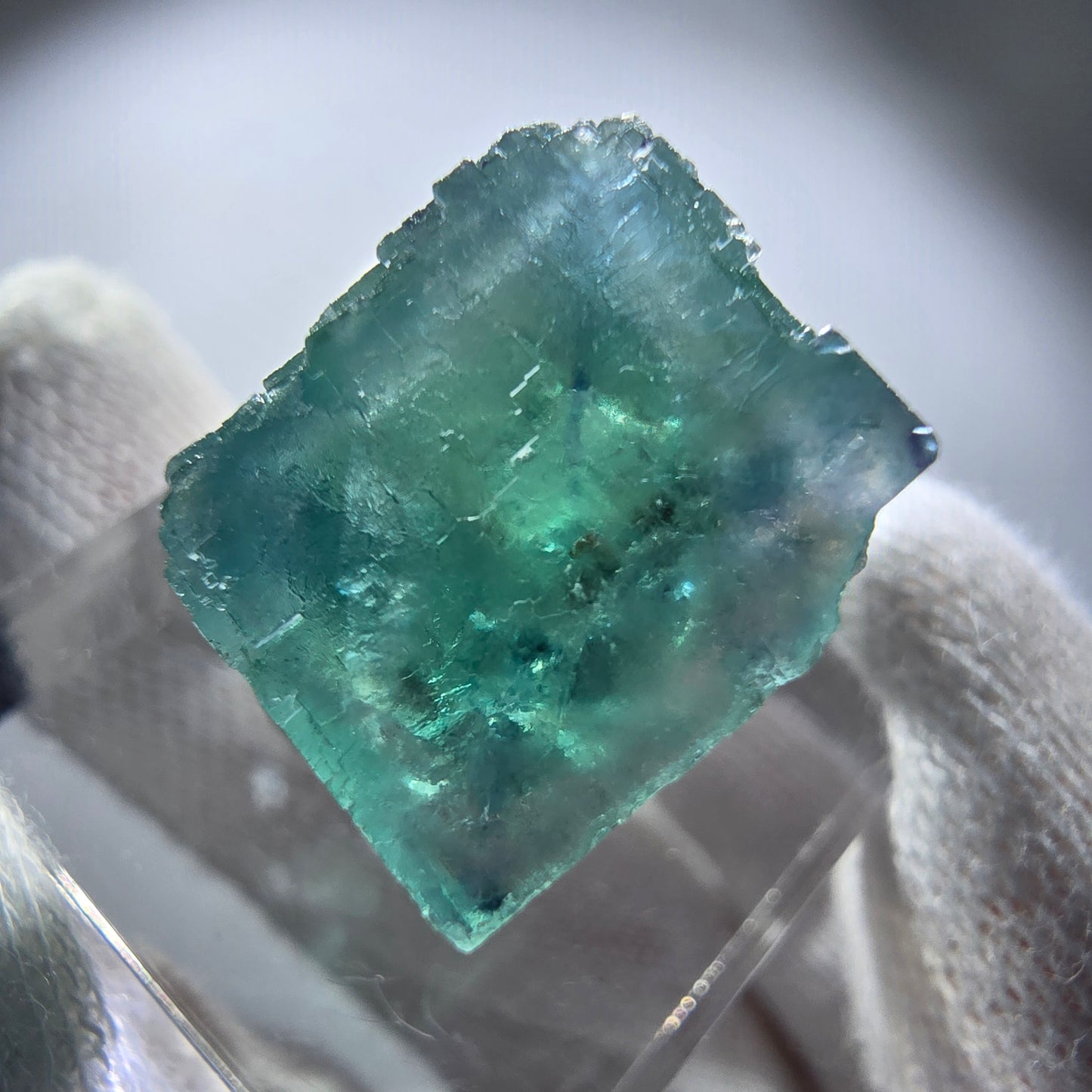 Rare spécimen de cube de fluorite fantôme, vert Okorusu, Namibie 24 x 23 x 17 mm