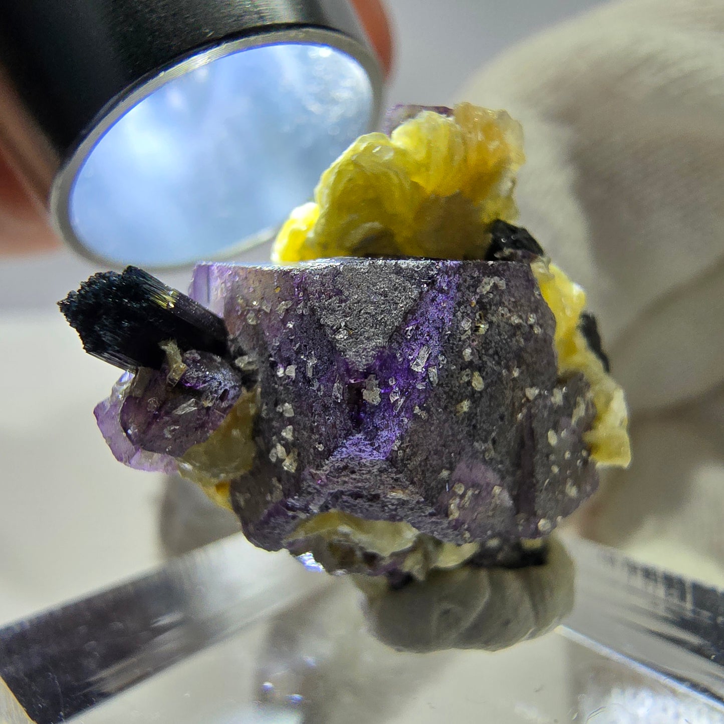 Spécimen de fluorite fantôme colorée, tourmaline scholle, muscovite, Erongo, Namibie, 25 x 20 x 16 mm