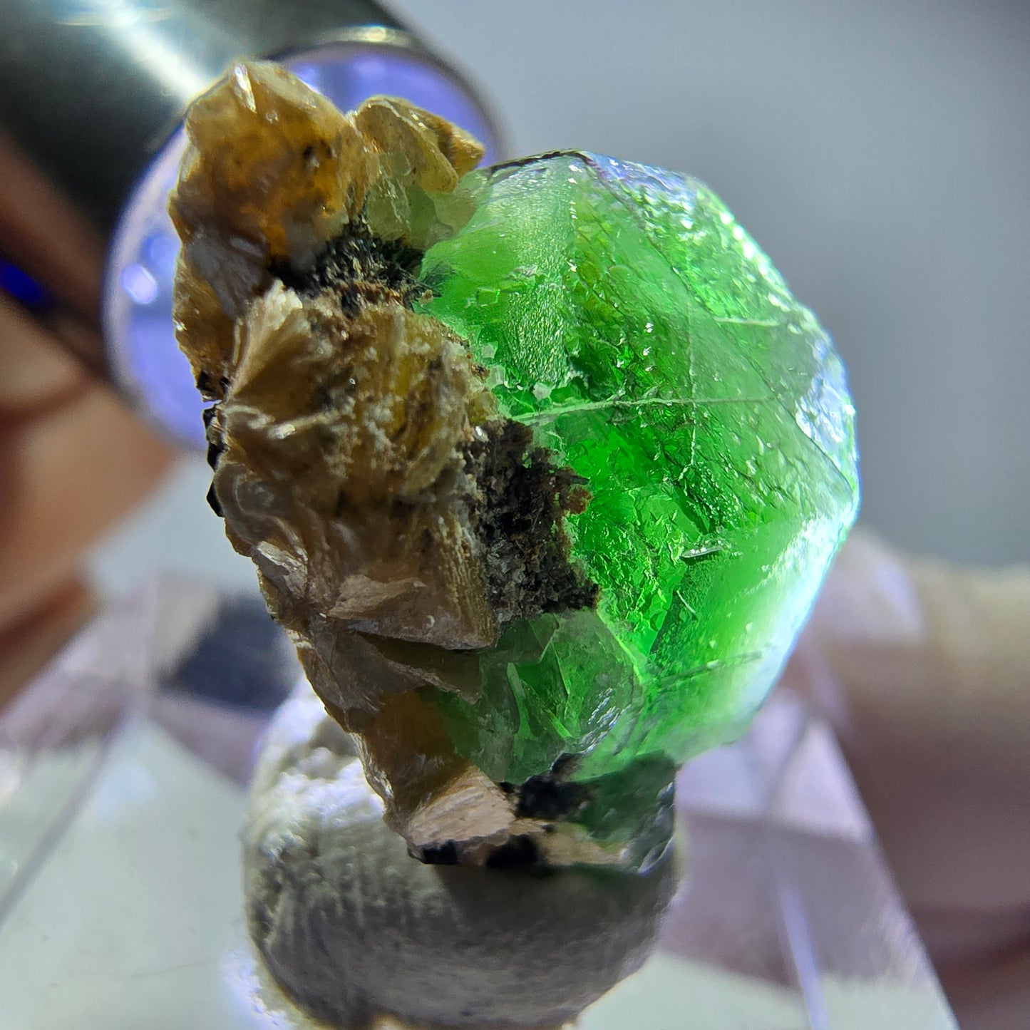 Cube hexagonal de fluorite fantôme, muscovite, tourmaline Schörl, Erongo, Namibie, 20 x 17 x 13 mm