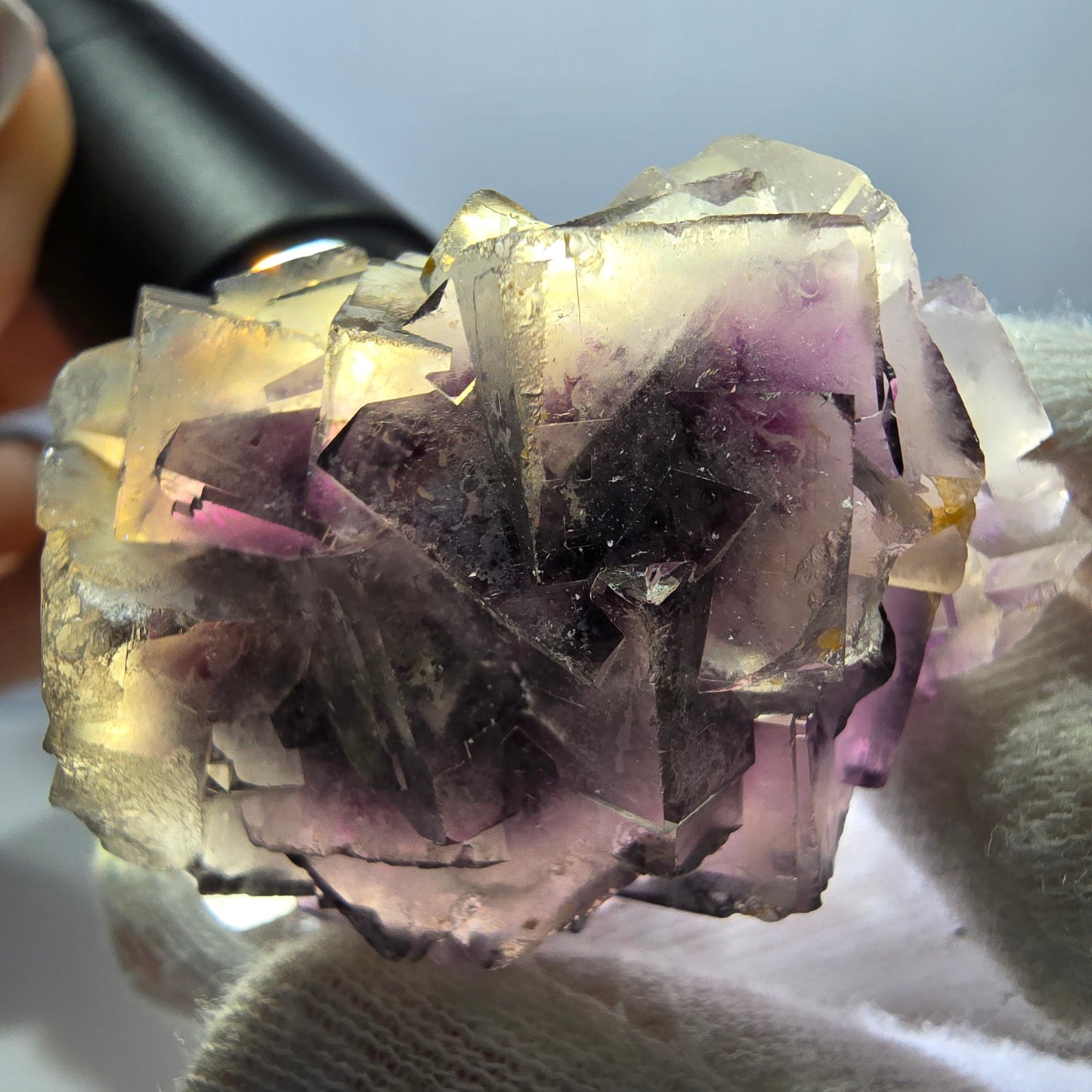 Rare spécimen de cube de fluorite fantôme, violet et blanc, Okorusu, Namibie, 44 x 38 x 26 mm