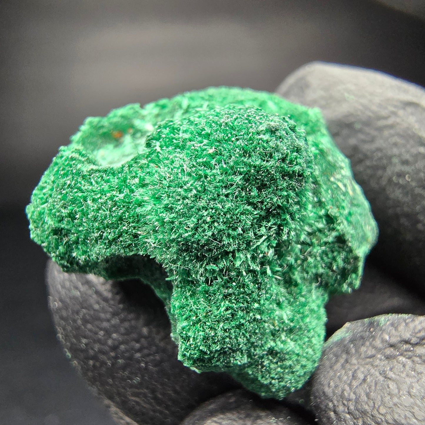 Spécimen rare de malachite, Kaokoveld vert, collection minérale namibie 24*22*16mm