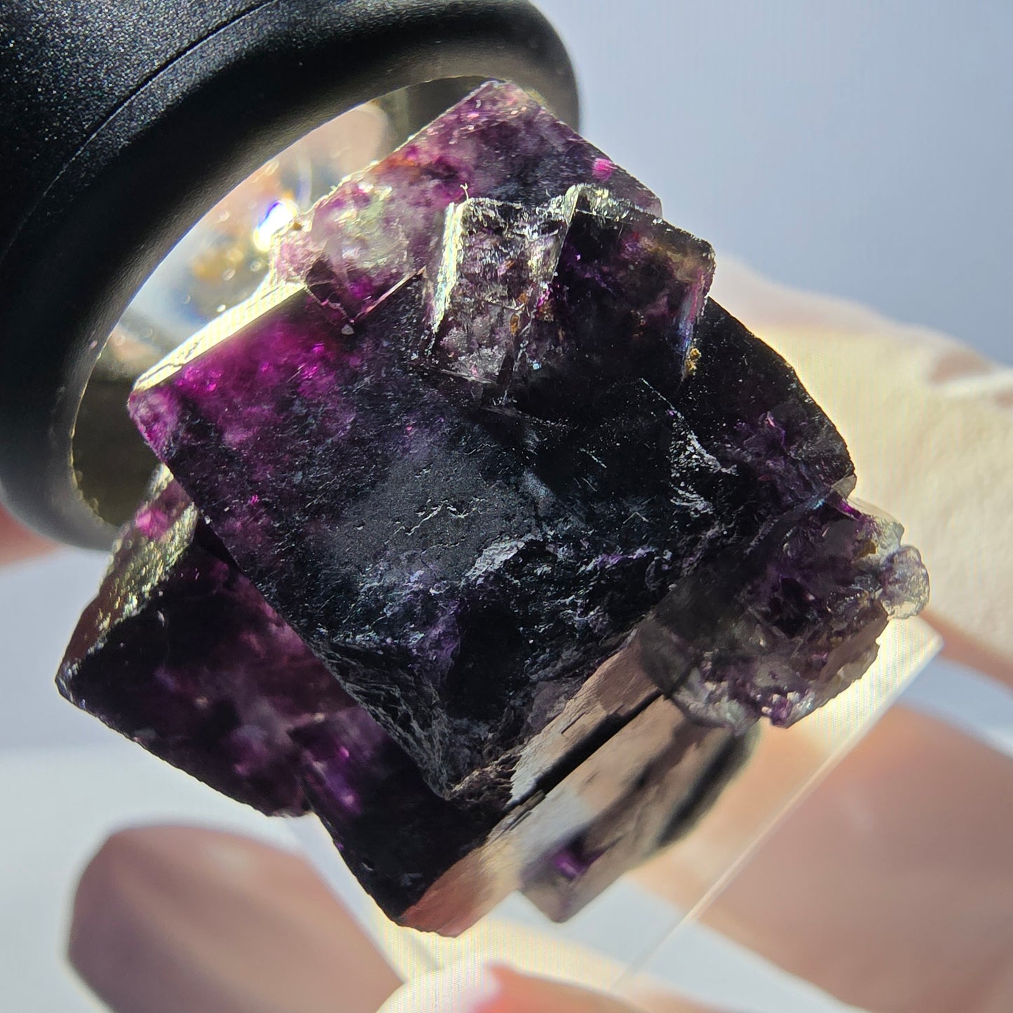Spécimen de cube de fluorite fantôme, parqueté vert violet Okorusu, Namibie 30*24*21 mm