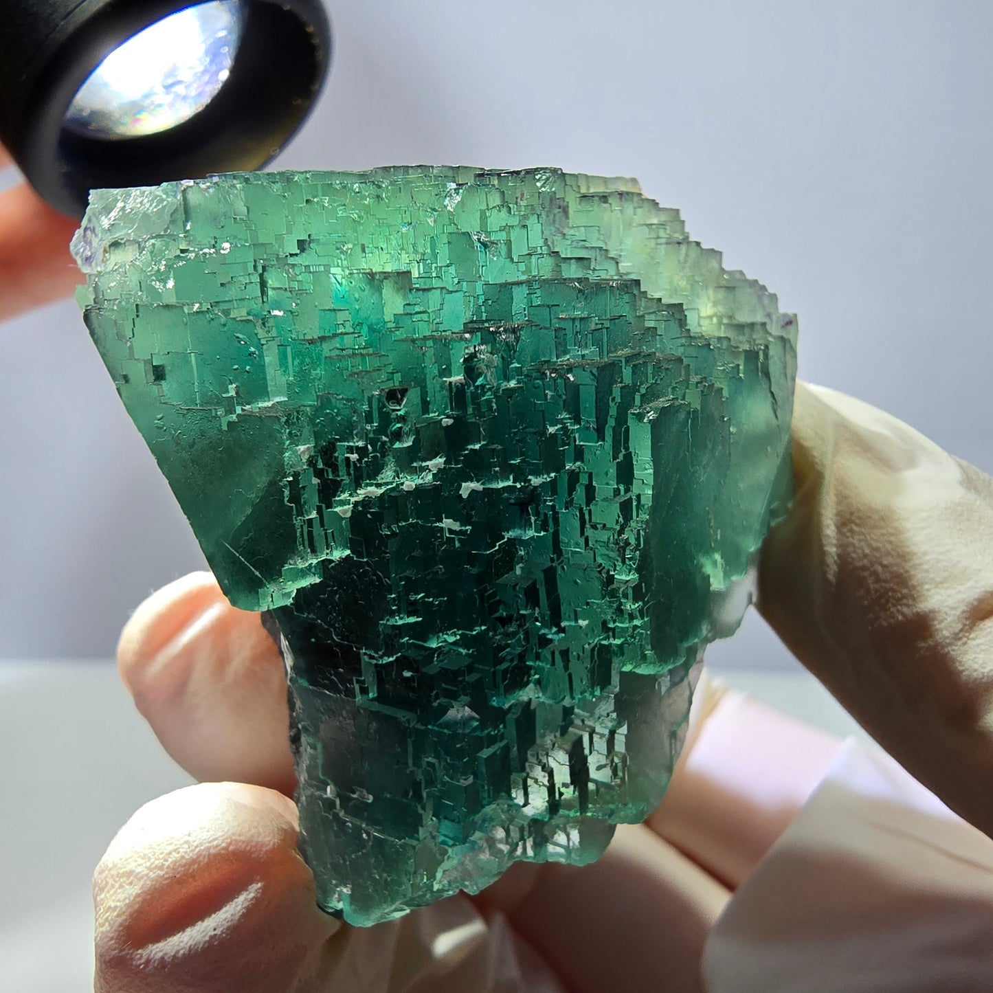 Spécimen de cube de fluorite fantôme transparente, vert parqueté, Okorusu, Namibie, 60 x 44 x 40 mm