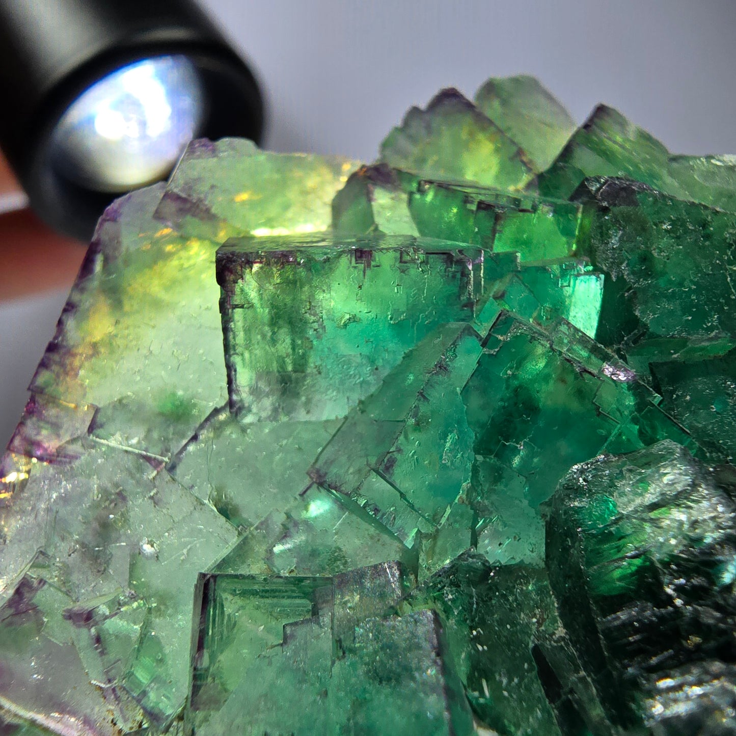 Spécimen de cube de fluorite fantôme, parqueté vert violet Okorusu, Namibie 55*41*16 mm