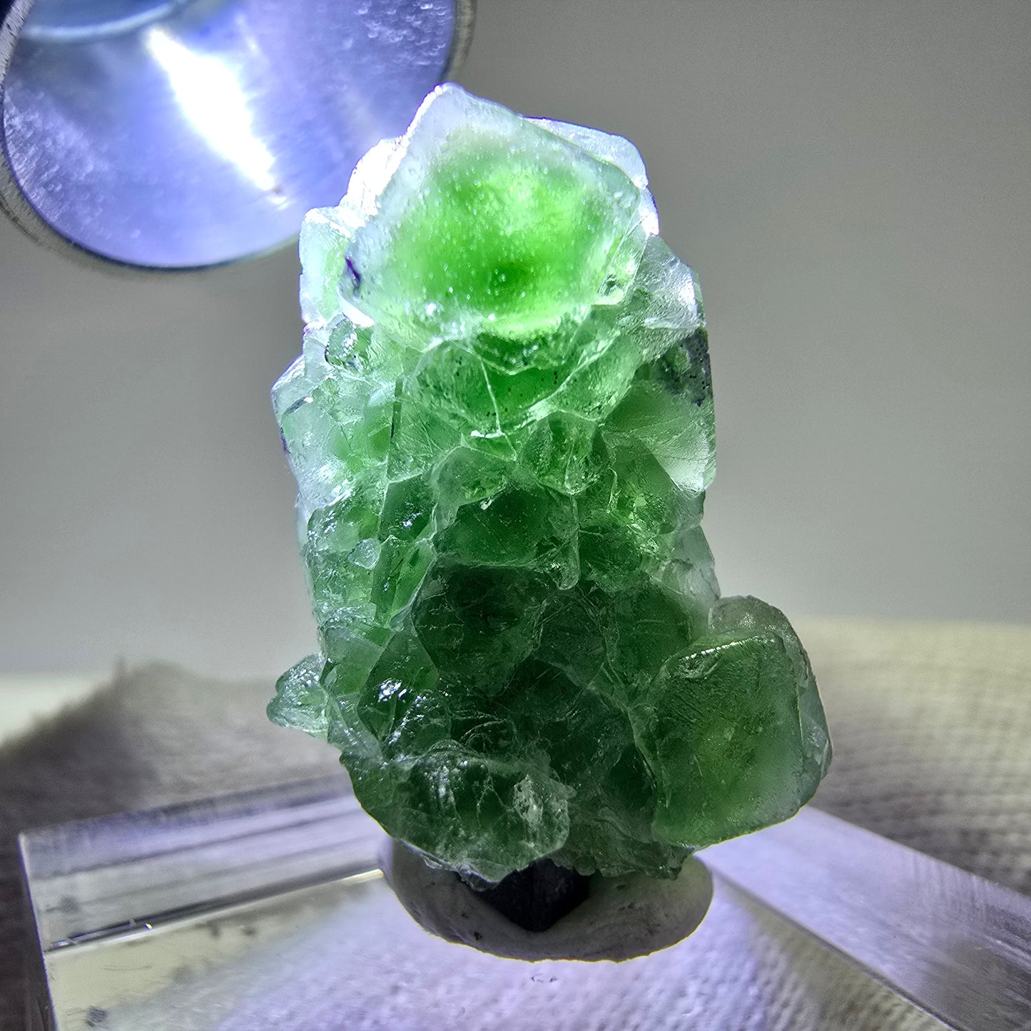 Cube de fluorite fantôme, spécimen de tourmaline Schorl, Erongo, Namibie, 26 x 15 x 15 mm