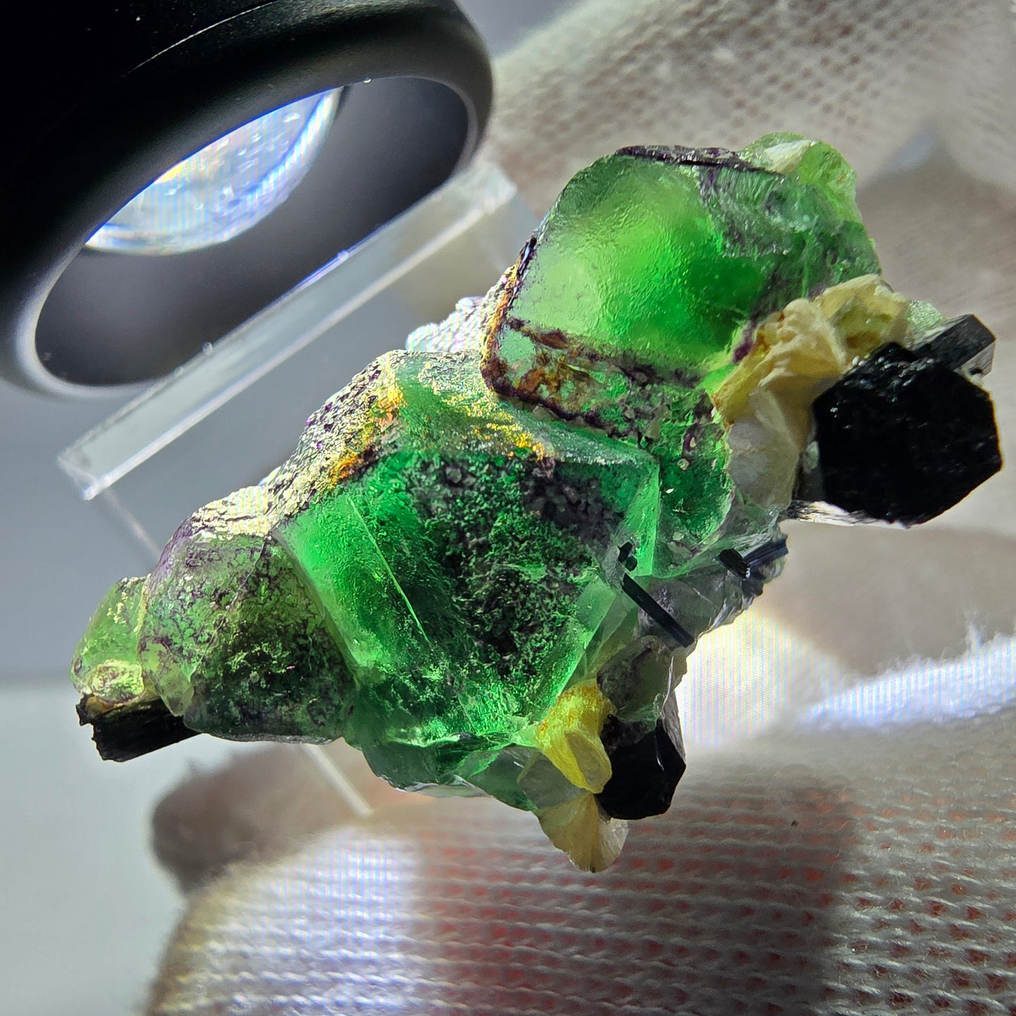 Cube de fluorite fantôme zonal, tourmaline muscovite Schorl Erongo Namibie 36 x 22 x 19 mm