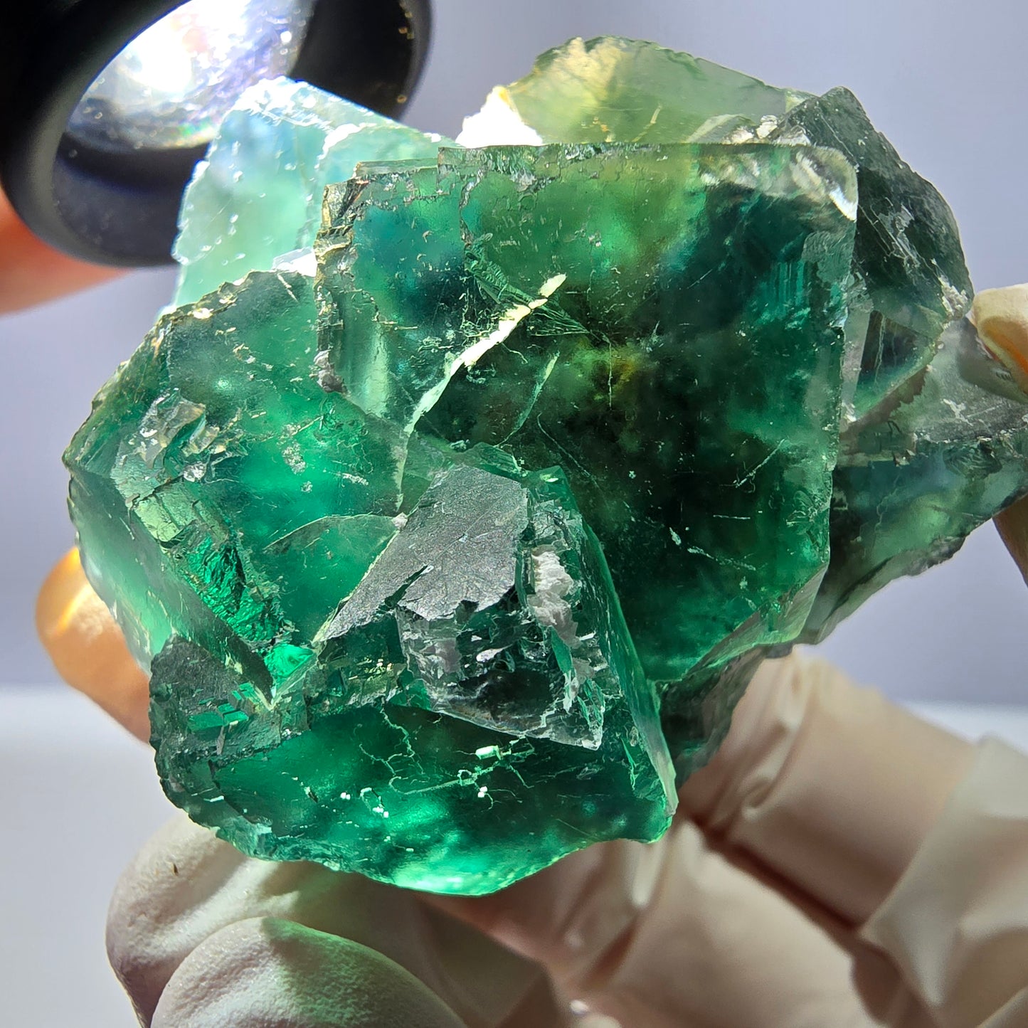 Spécimen de cube de fluorite fantôme transparente, parqueté vert Okorusu, Namibie 54 x 50 x 36 mm
