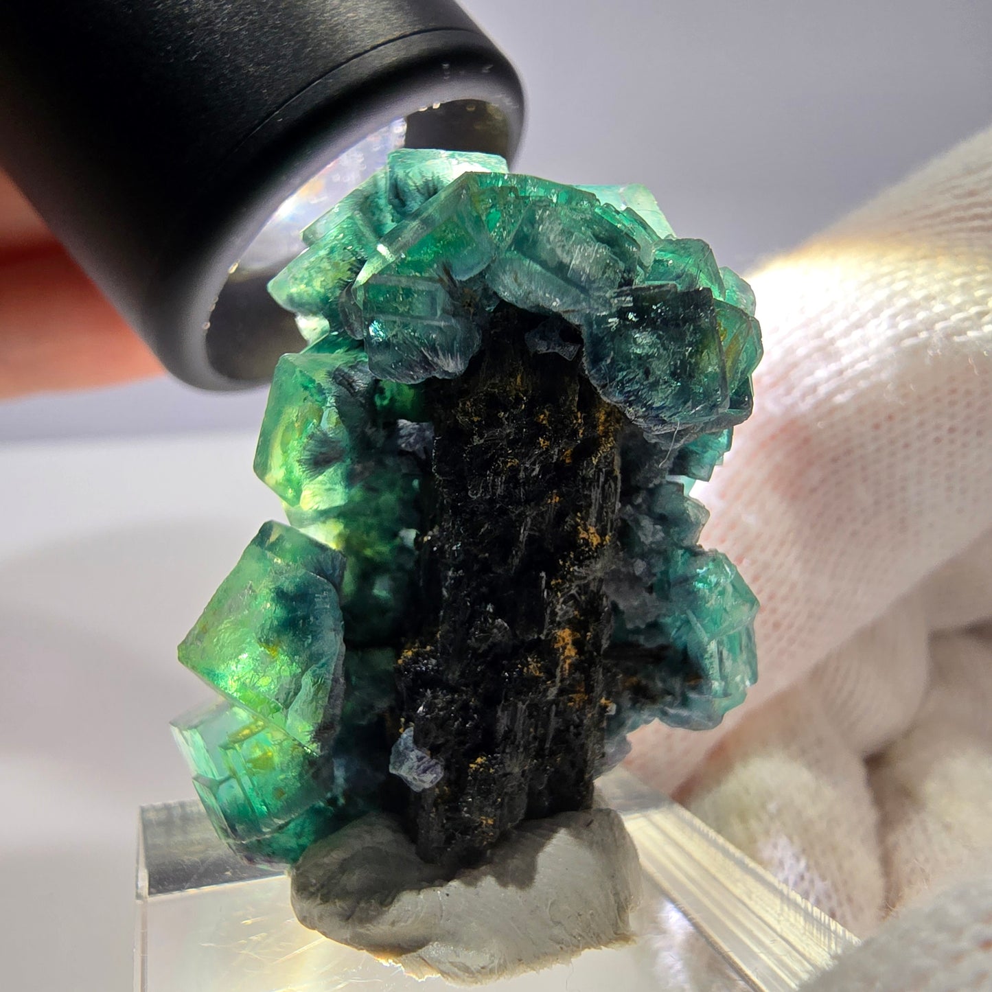 Cube de fluorite fantôme, spécimen de tourmaline Schorl, Erongo, Namibie, 34 x 27 x 22 mm