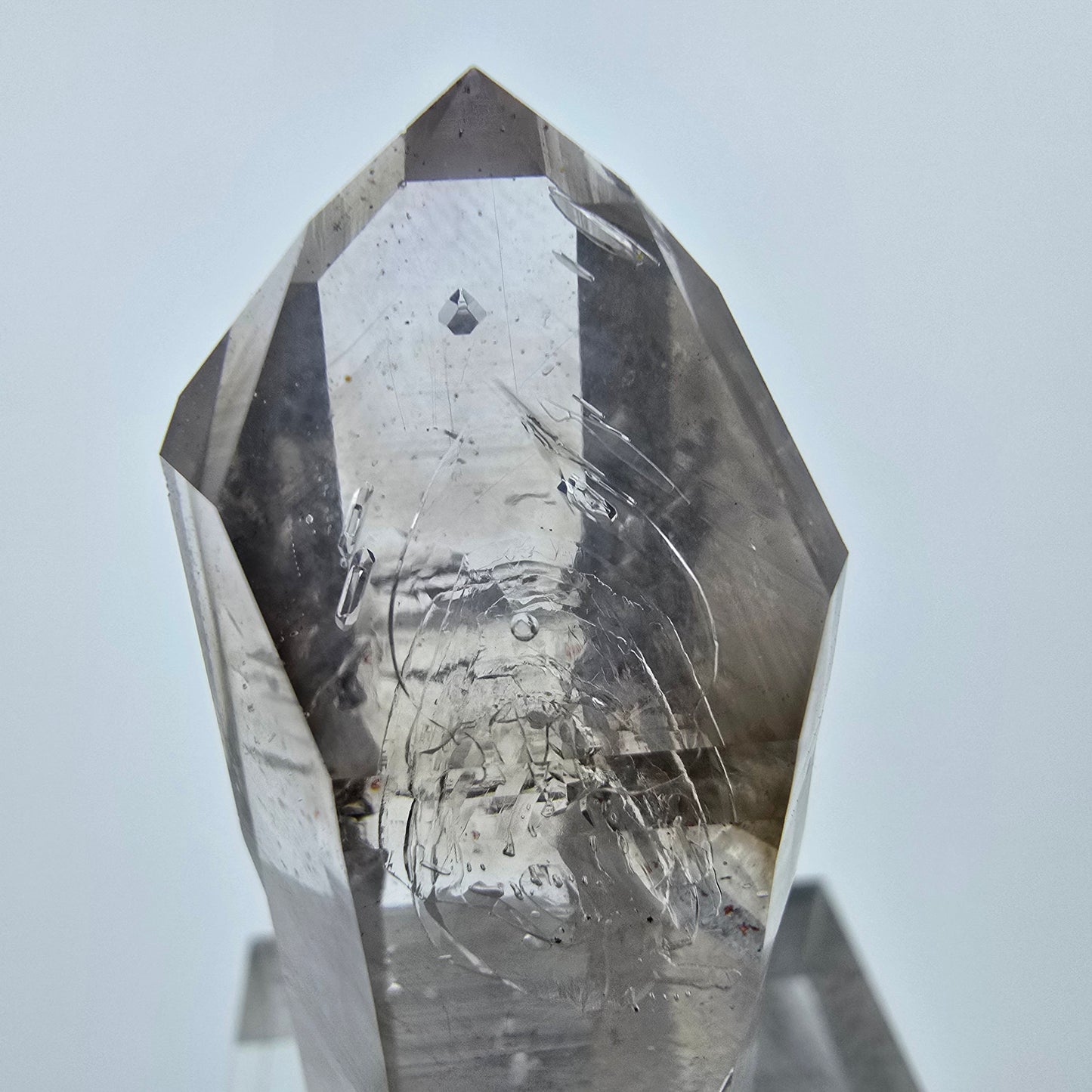 Enhydro Phantom Rauchquarz Lemurian Zepter 3x Blase Goboboseb Namibia 39*16*15mm