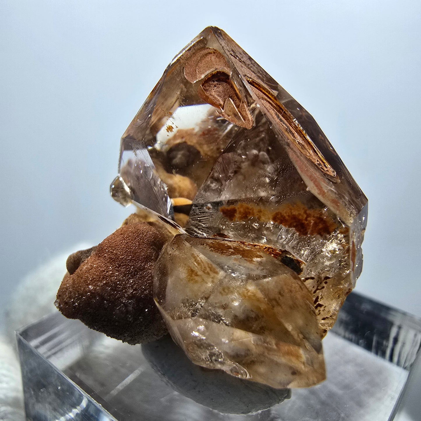 Amas de sceptres en quartz fumé fantôme transparent, Goboboseb, Namibie, 30 x 25 x 20 mm