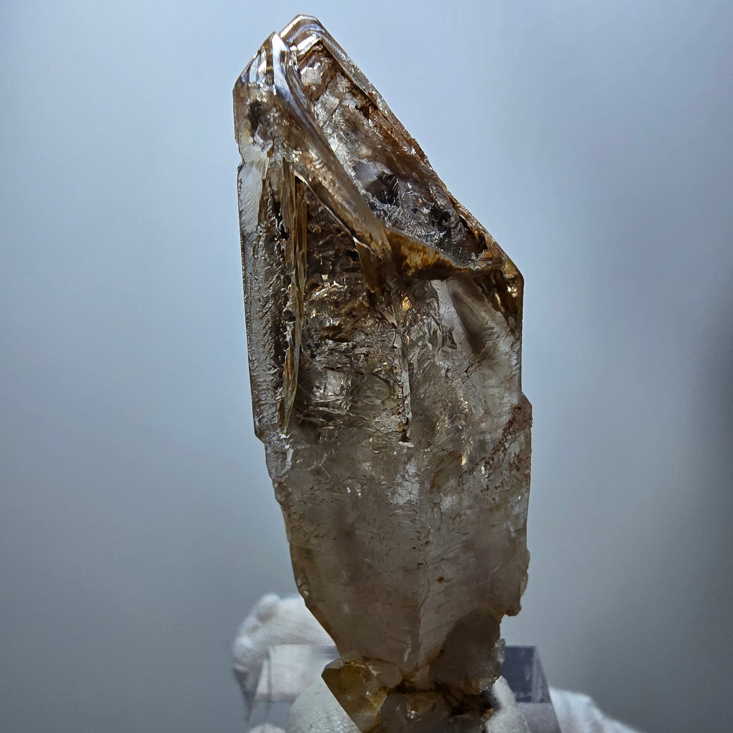 Enhydro Phantom Rauchquarz Fenster Zepter, 3x Blase Goboboseb Namibia 60*22*17mm