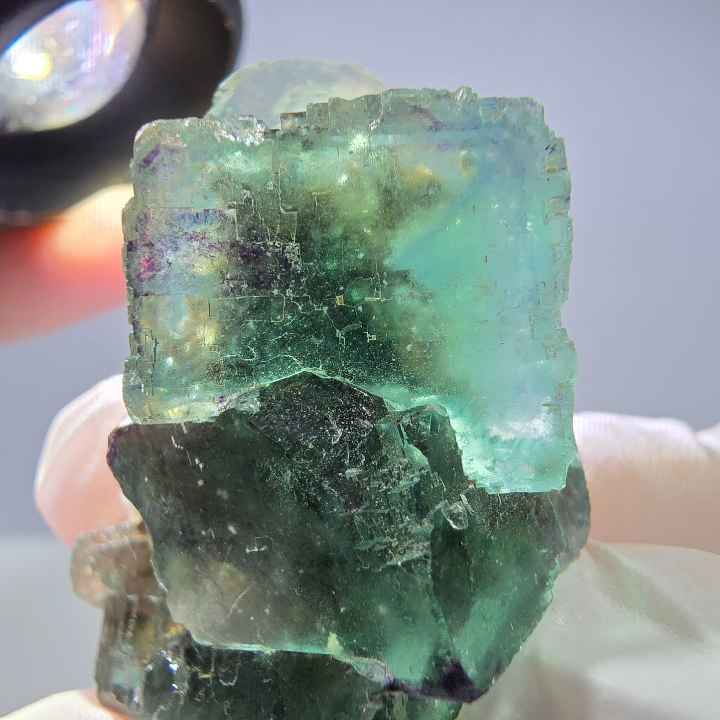 Rare spécimen de cube de fluorite fantôme, parqueté vert Okorusu, Namibie, 42 x 30 x 18 mm