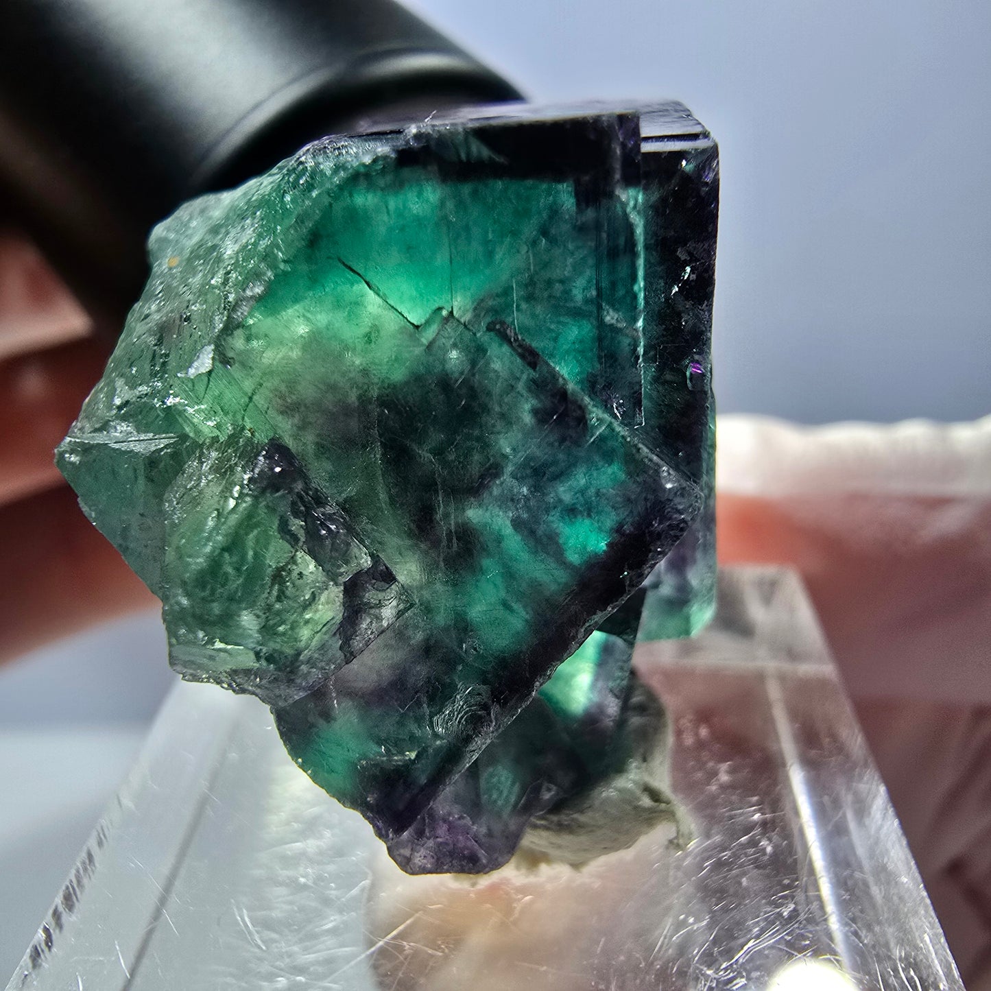Spécimen de cube de fluorite fantôme, parqueté vert violet Okorusu, Namibie 28*24*22 mm