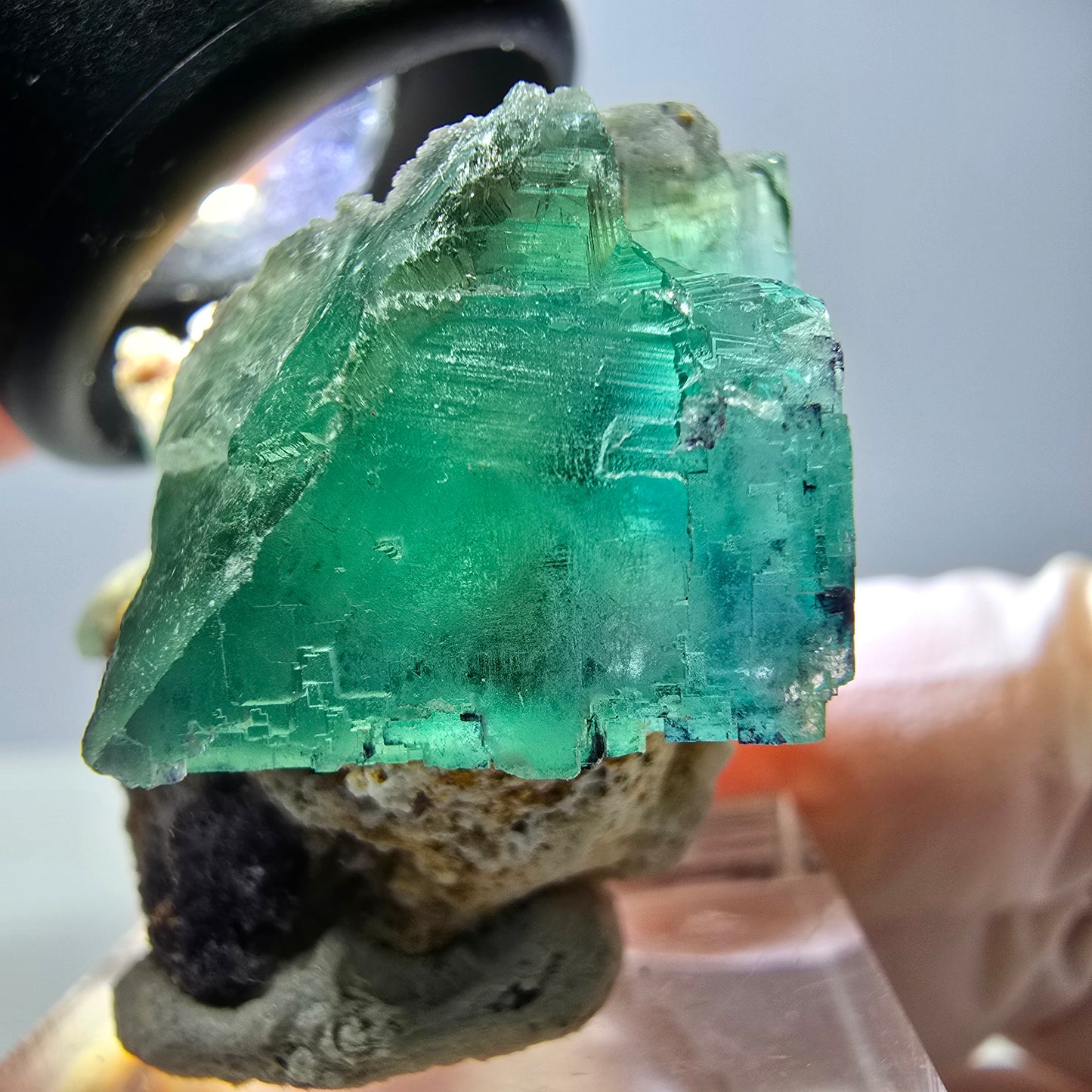 Spécimen de cube de fluorite fantôme, parquet vert Okorusu, Namibie 34*29*28 mm