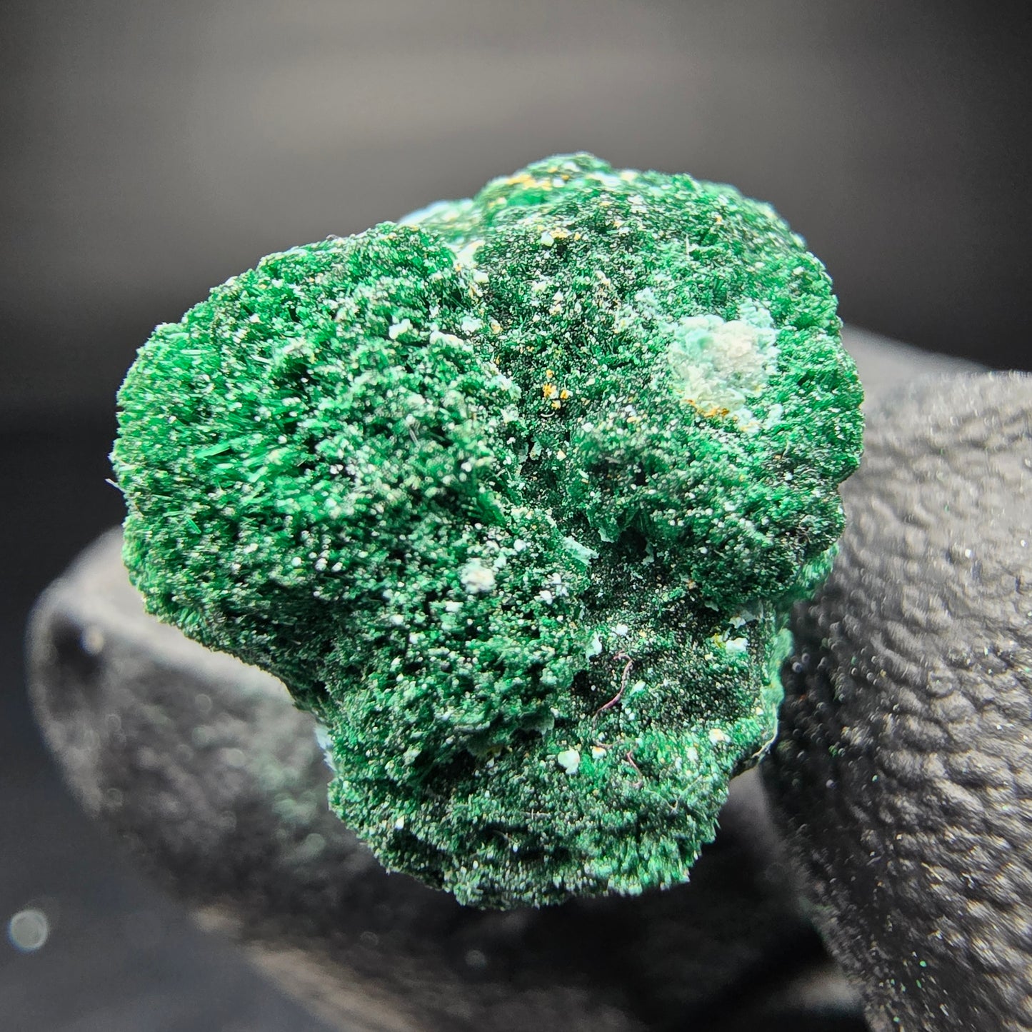 Seltene Malachit, Chrysokoll Stufe Kaokoveld, Namibia 25*20*17mm Sammlung