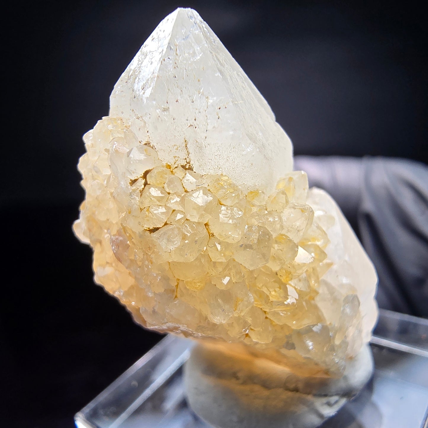 Quartz cactus, quartz spiritueux niveau XX Boekenhouthoek, collection Afrique du Sud 35*23*17