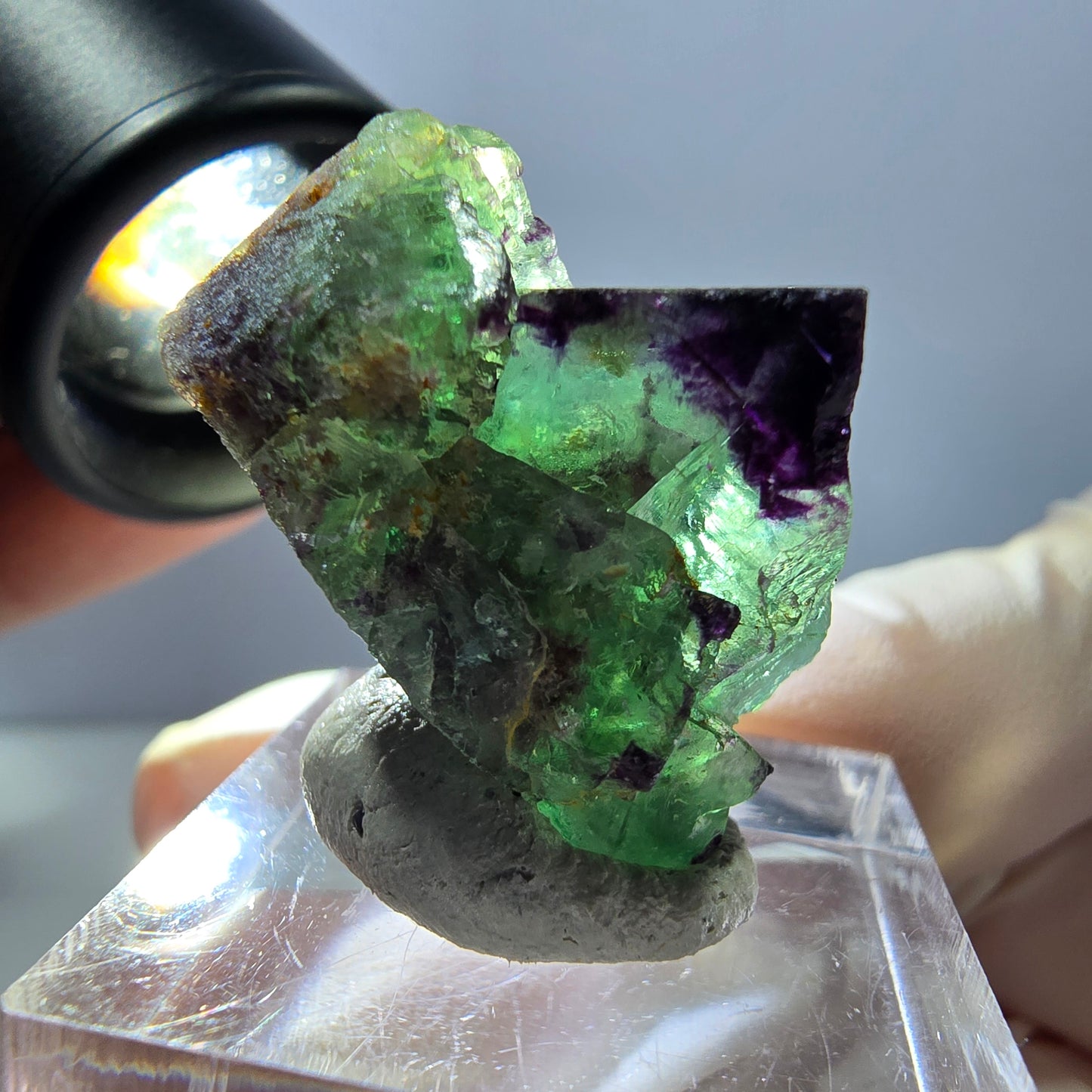 Spécimen de cube de fluorite fantôme, parqueté vert violet Okorusu, Namibie 27*25*20 mm