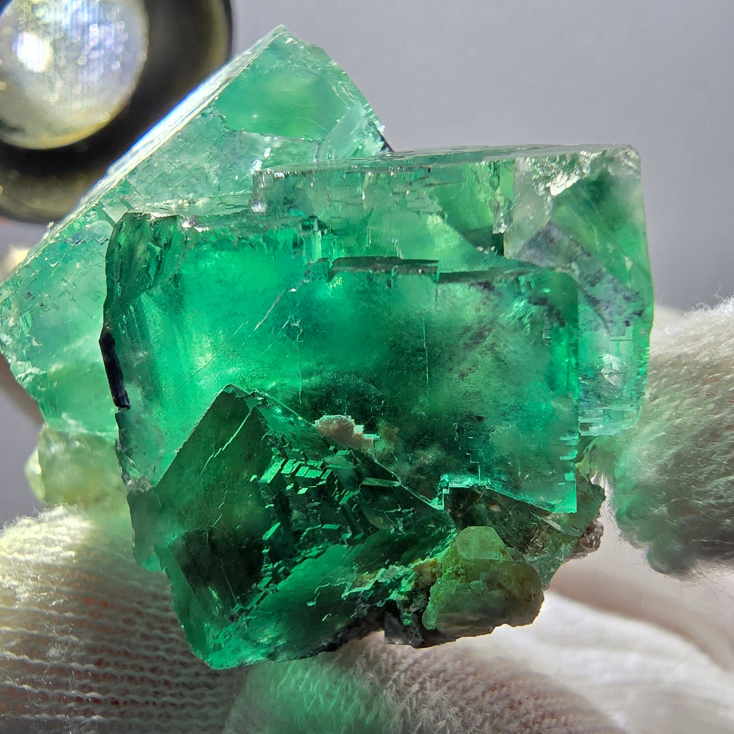 Rare spécimen de cube de fluorite fantôme, parqueté vert Okorusu, Namibie, 45 x 35 x 23 mm