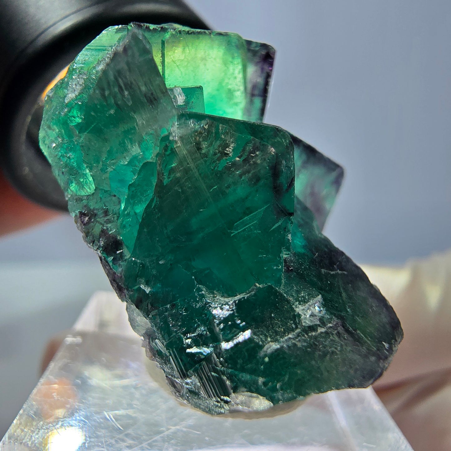 Spécimen de cube de fluorite fantôme, parqueté vert violet Okorusu, Namibie 32 x 30 x 20 mm