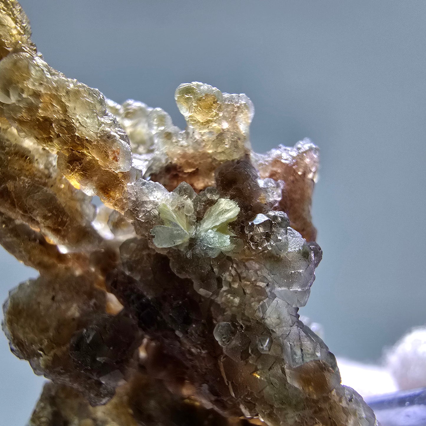 Phantom Fluorit Würfel grün braun, Muskovit Stufe Erongo, Namibia 50*31*23mm