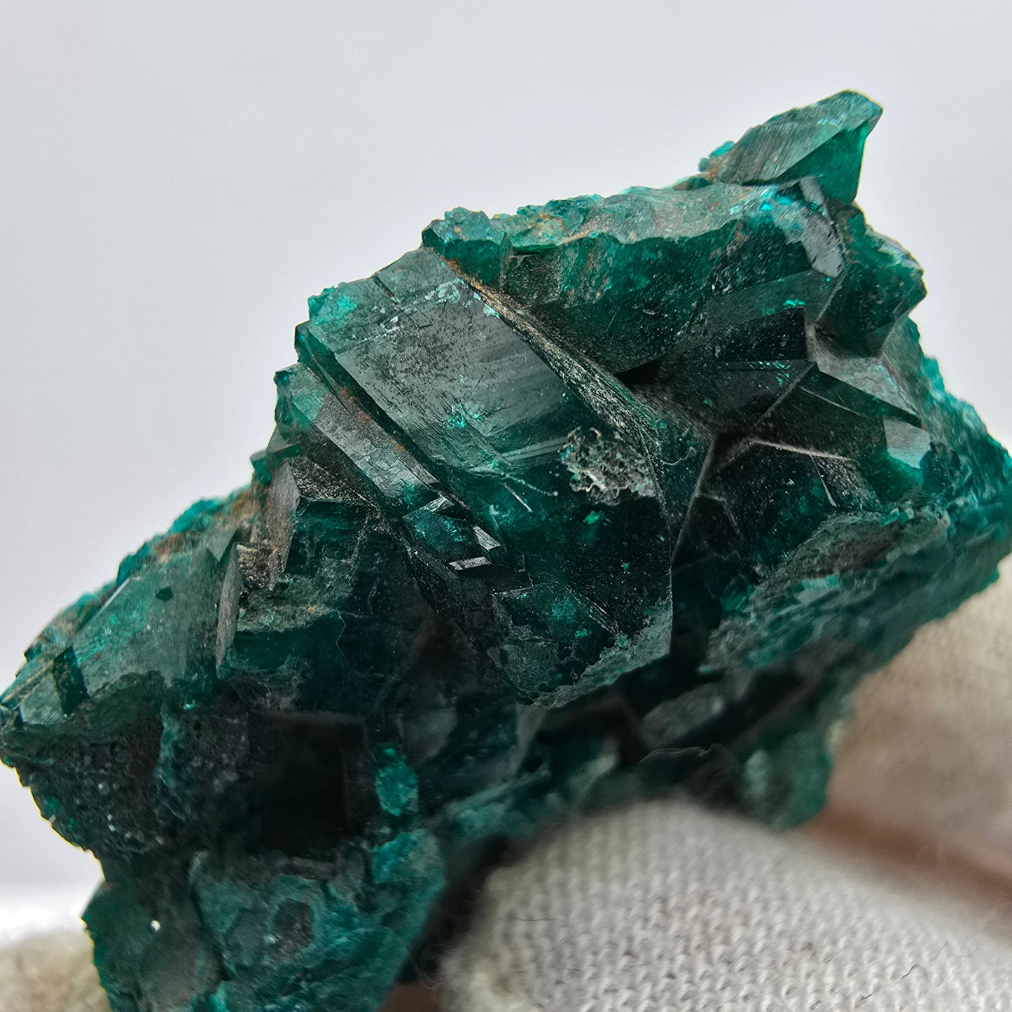 Seltene Diotas XX mit Azurit Stufe Kaokoveld, Namibia 33*30*8mm Sammlung