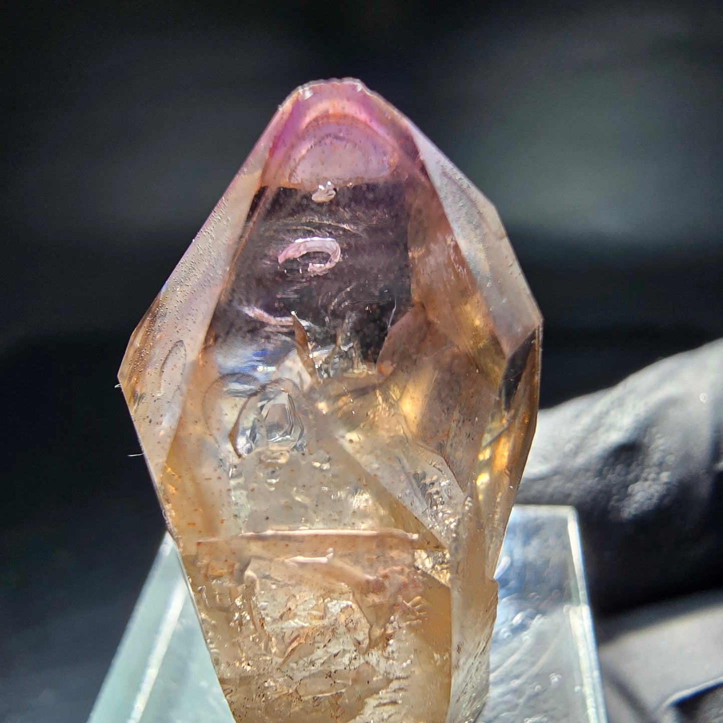 Klare Phantom Amethyst Zepter Spitze Goboboseb Namibia 33*17*14mm Sammlung
