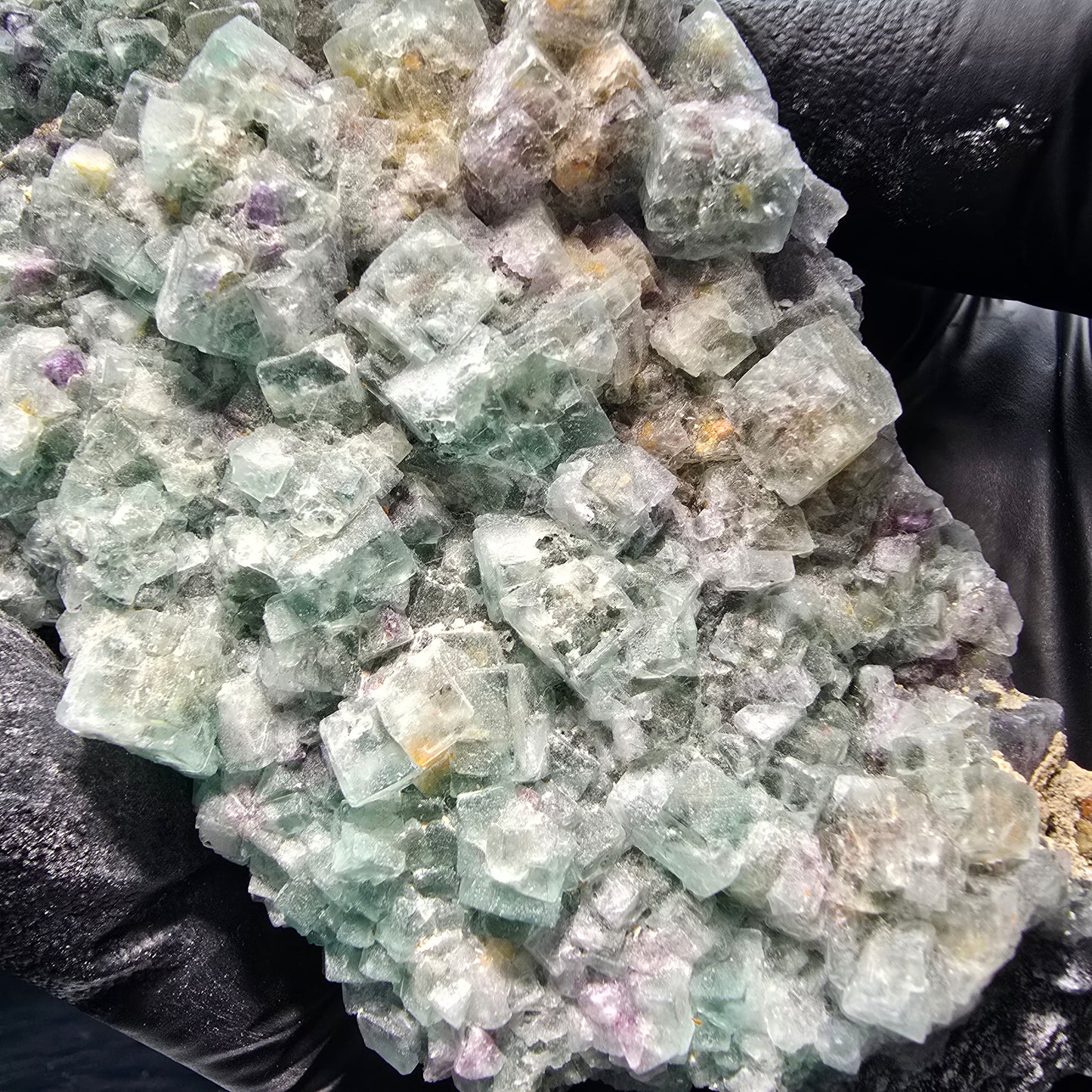 Grands cubes de fluorite zonaux, niveau de quartz vert violet Erongo, Namibie 124*59*27mm